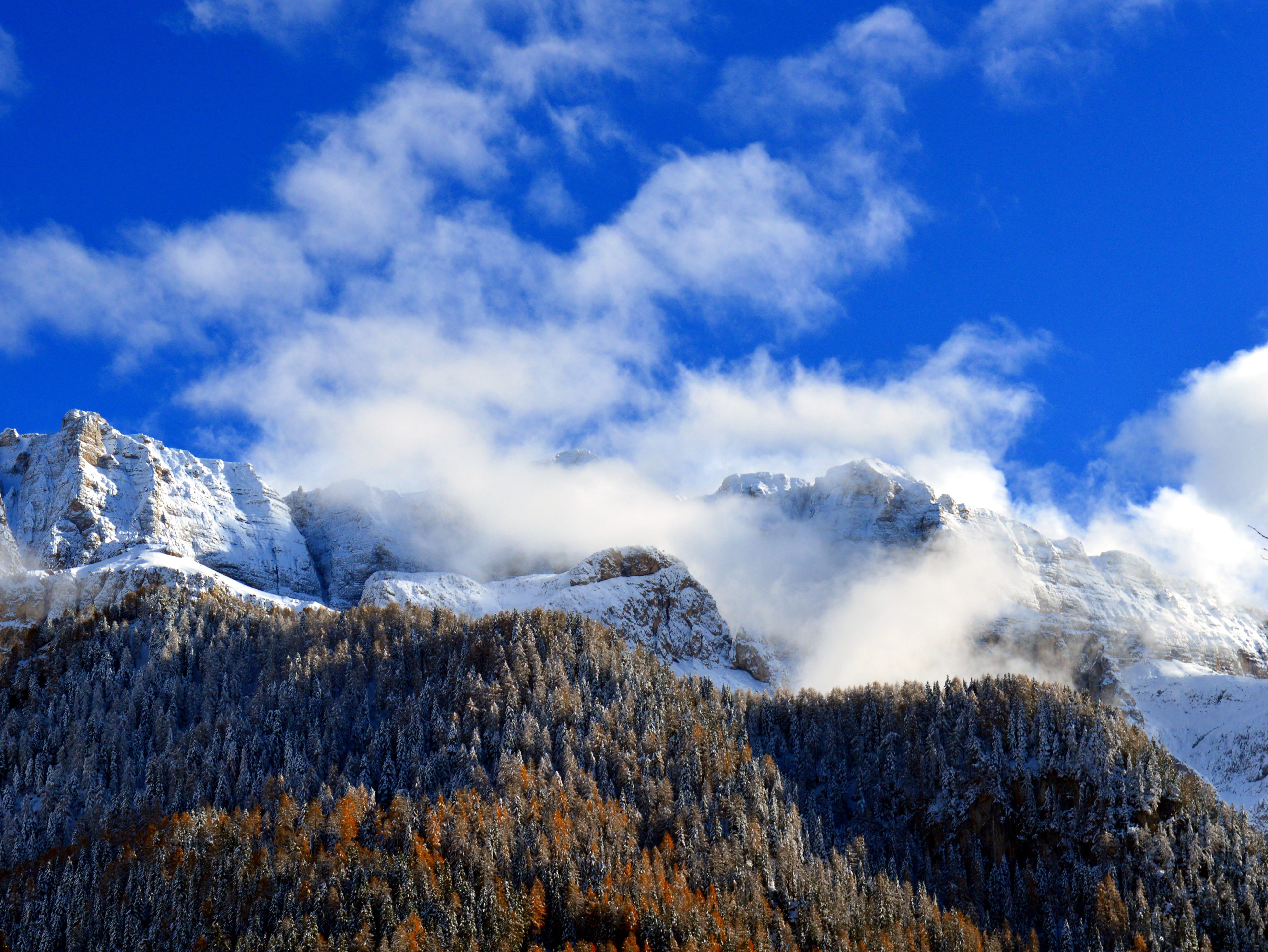 scenics - nature, beautiful, snow, beauty in nature, tranquil scene, tree, winter, white, winter blast, beside, clouds, cold, coniferous tree, mountain peaks, HD Wallpaper