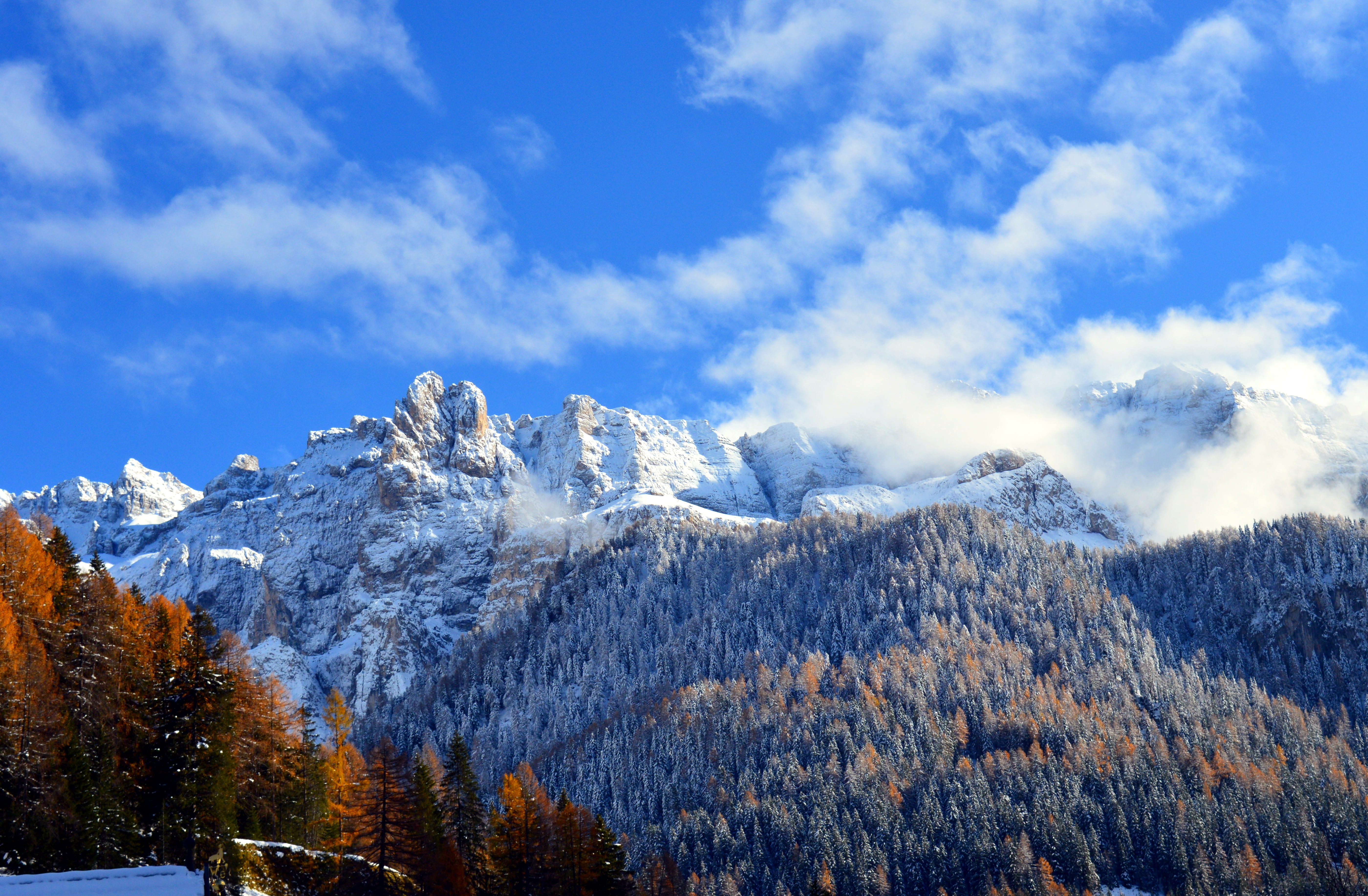 alpine, winter blast, tranquil scene, outdoors, environment, mountain, coniferous tree, dolomites, no people, blue sky, tranquility, snow, cloud - sky, HD Wallpaper
