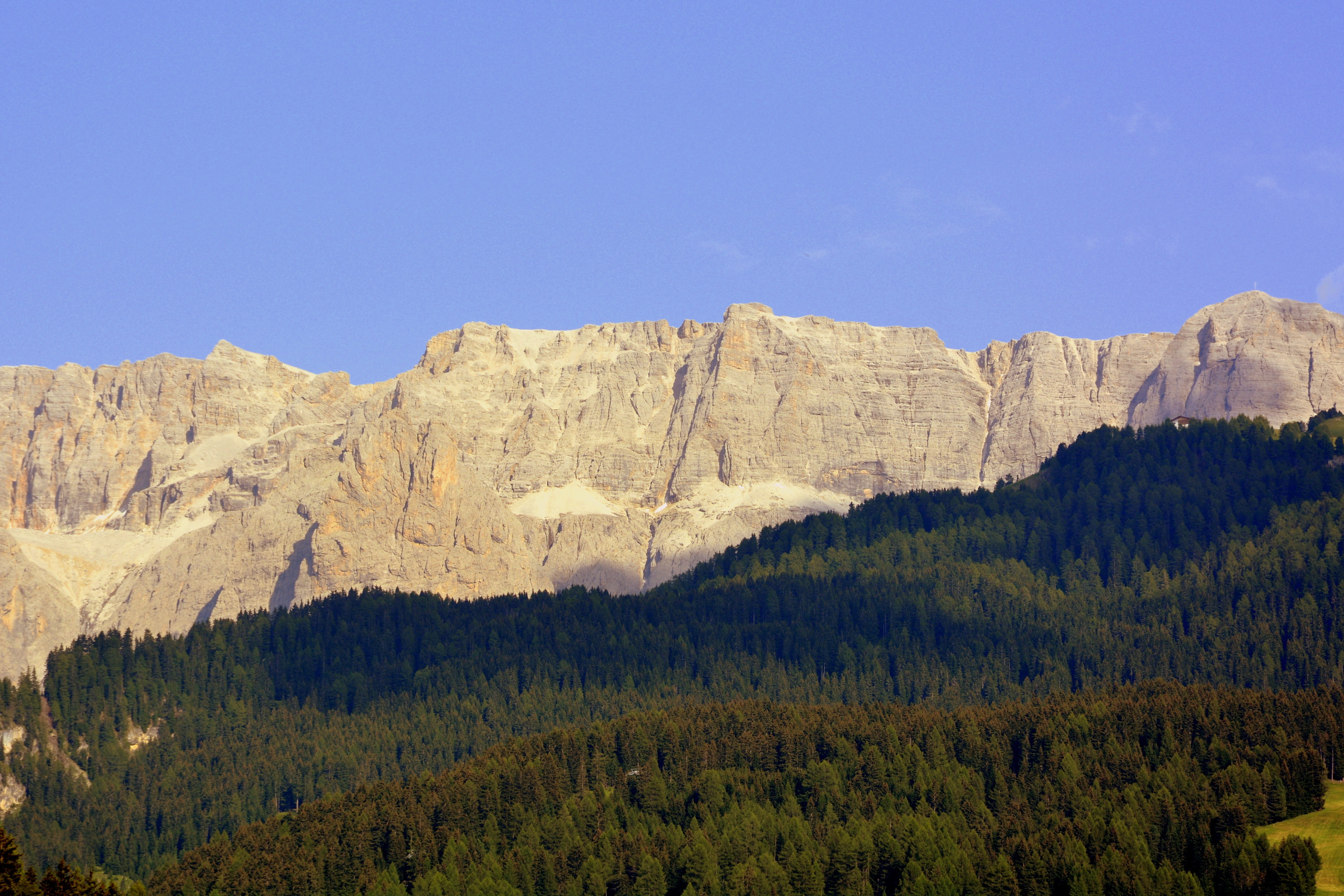 sella group, tree, environment, dolomites, coniferous tree, sky, land, mountains, landscape, plant, forest, pine tree, mountain, nature, scenics - nature, HD Wallpaper