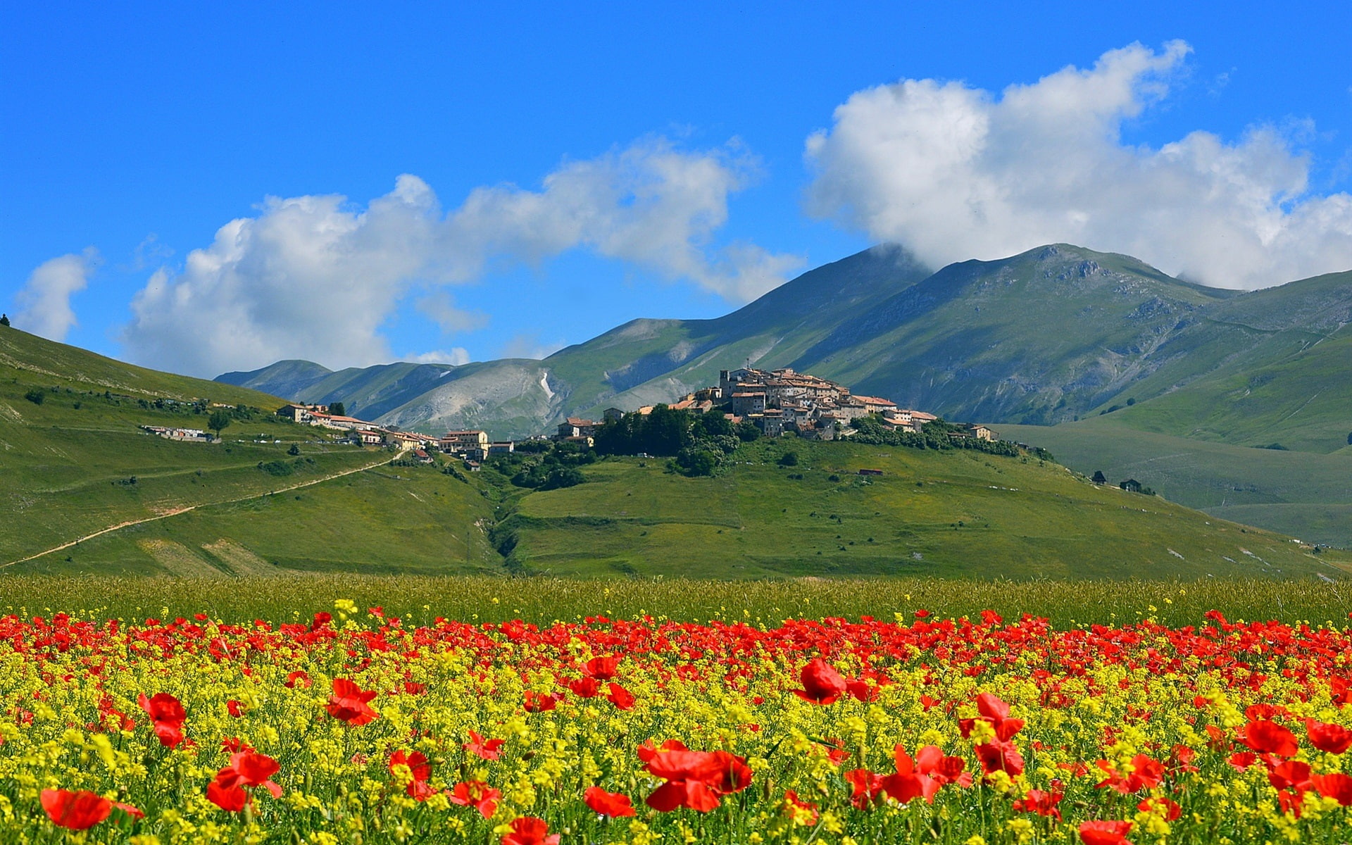 1080P, Italy, Castelluccio, Flowers, Village, Mountains, red, Poppies, HD Wallpaper