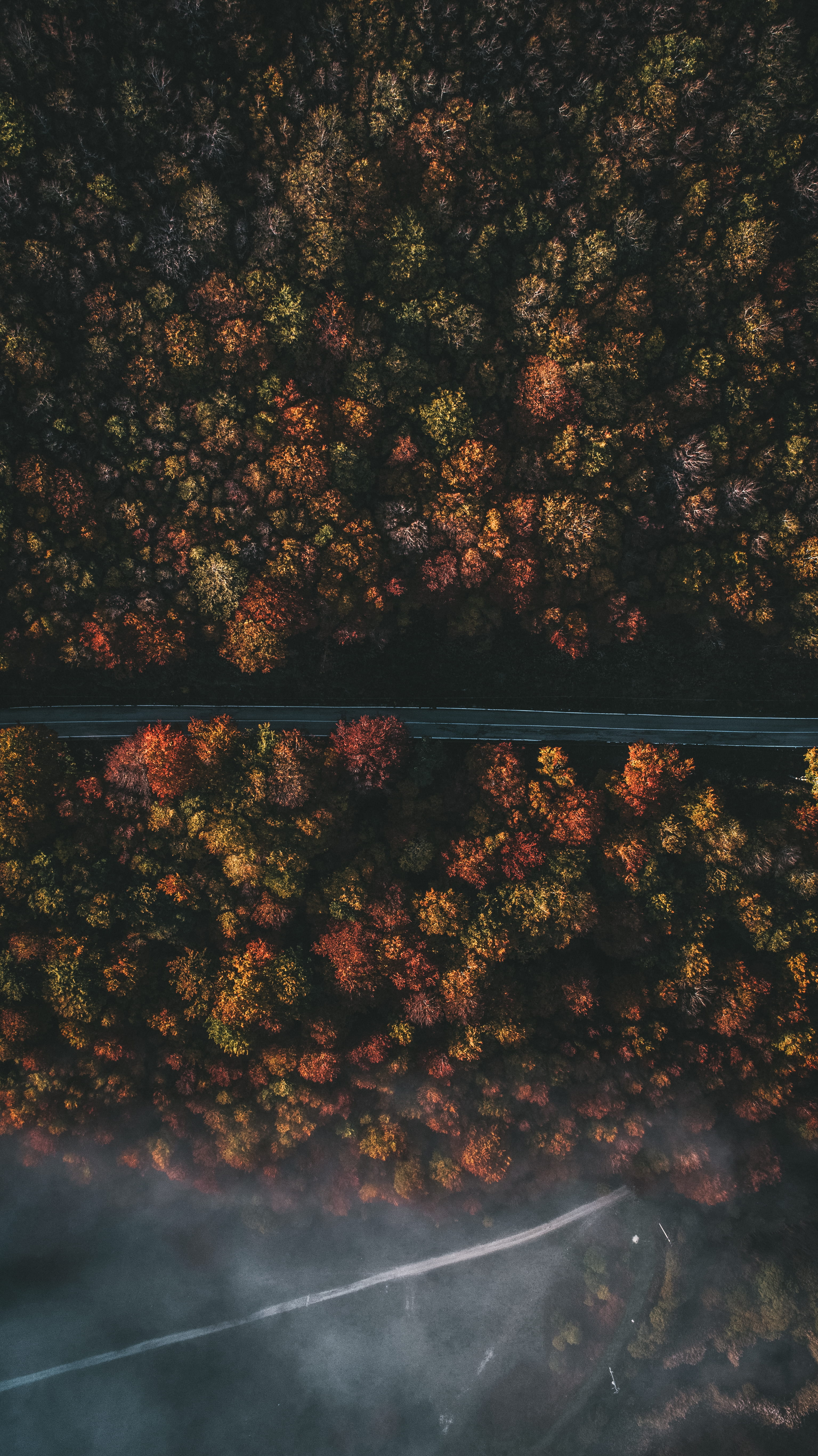scenics - nature, woodland, drone, mist, tranquil scene, photography, tranquility, outdoors, travel, land, roadway, fog, autumn, no people, road trip, lake, Phone HD Wallpaper