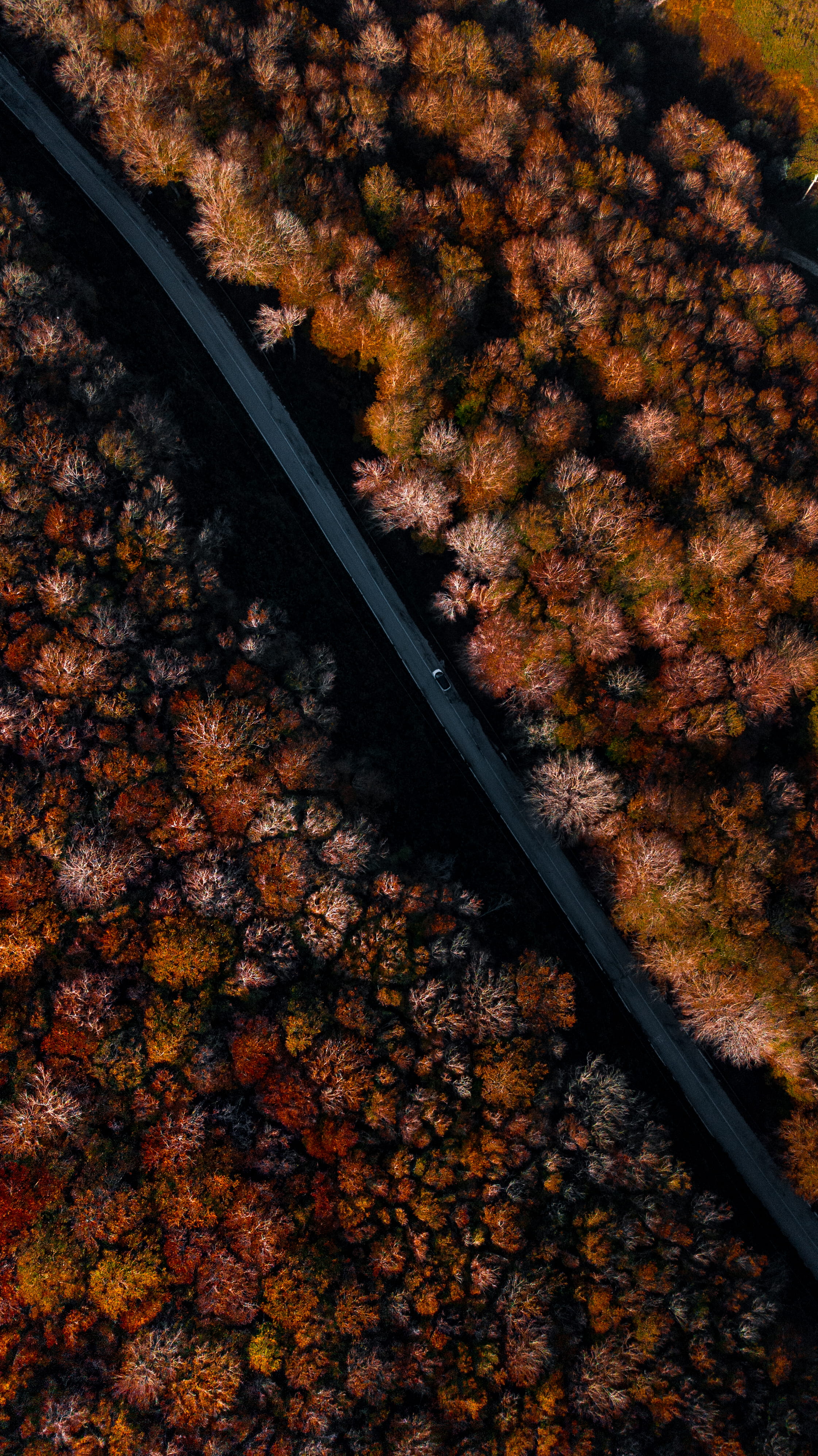 4K, italium, journey, remote, railroad track, track, nature, countryside, full frame, no people, mavic, car, drone, scenics - nature, autumn, land, autunno, Phone HD Wallpaper