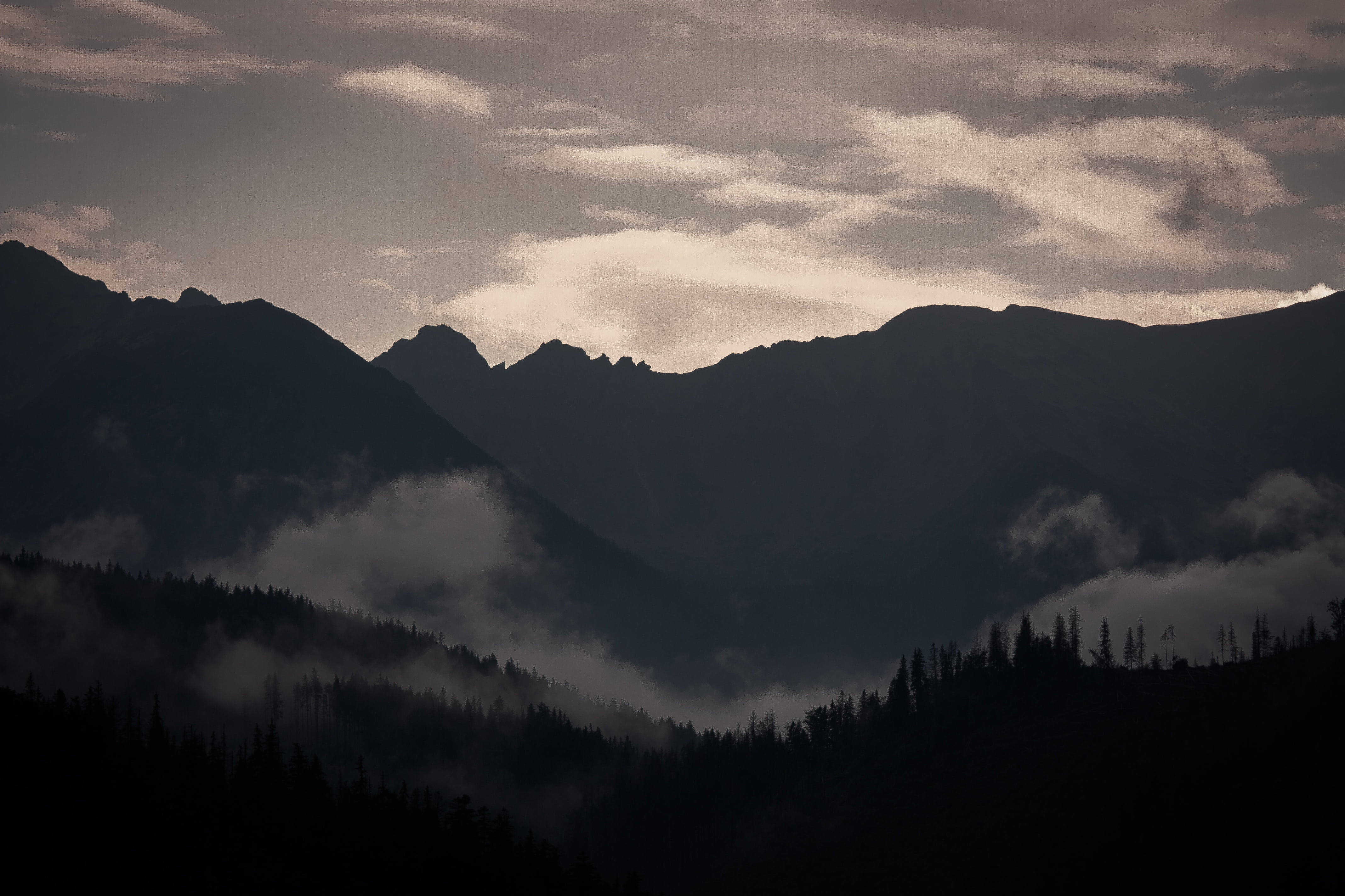 scenics, mountain peak, cloud - sky, mountain, tranquil scene, clouds, outdoors, environment, trees, coniferous tree, forest, silhouette, scenics - nature, HD Wallpaper