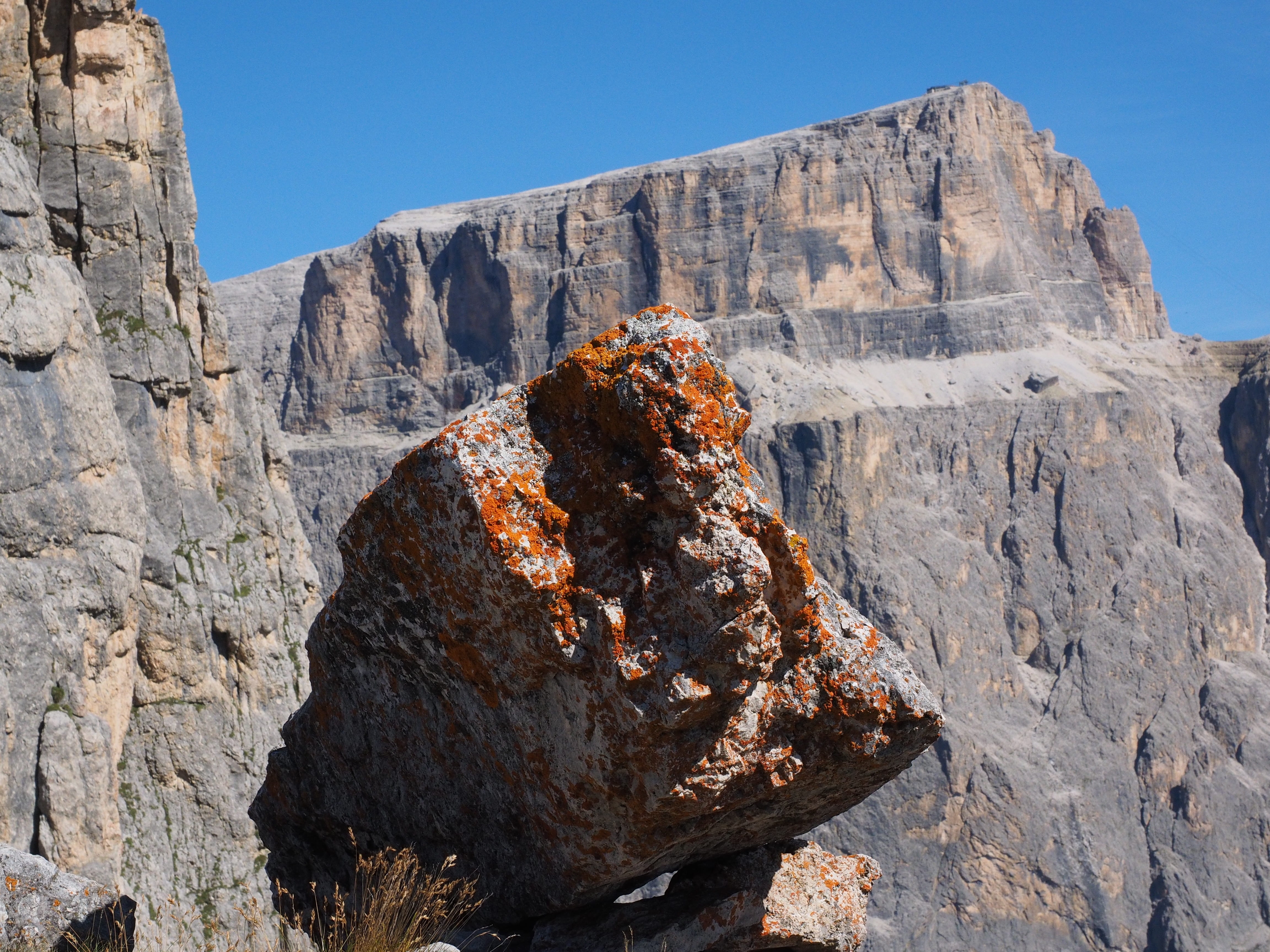 roack, cable car, nature, xanthoria elegans, travel destinations, eroded, funivia del sass pordoi, italy, cable car funivia del sass pordoi, yellow lichen, HD Wallpaper