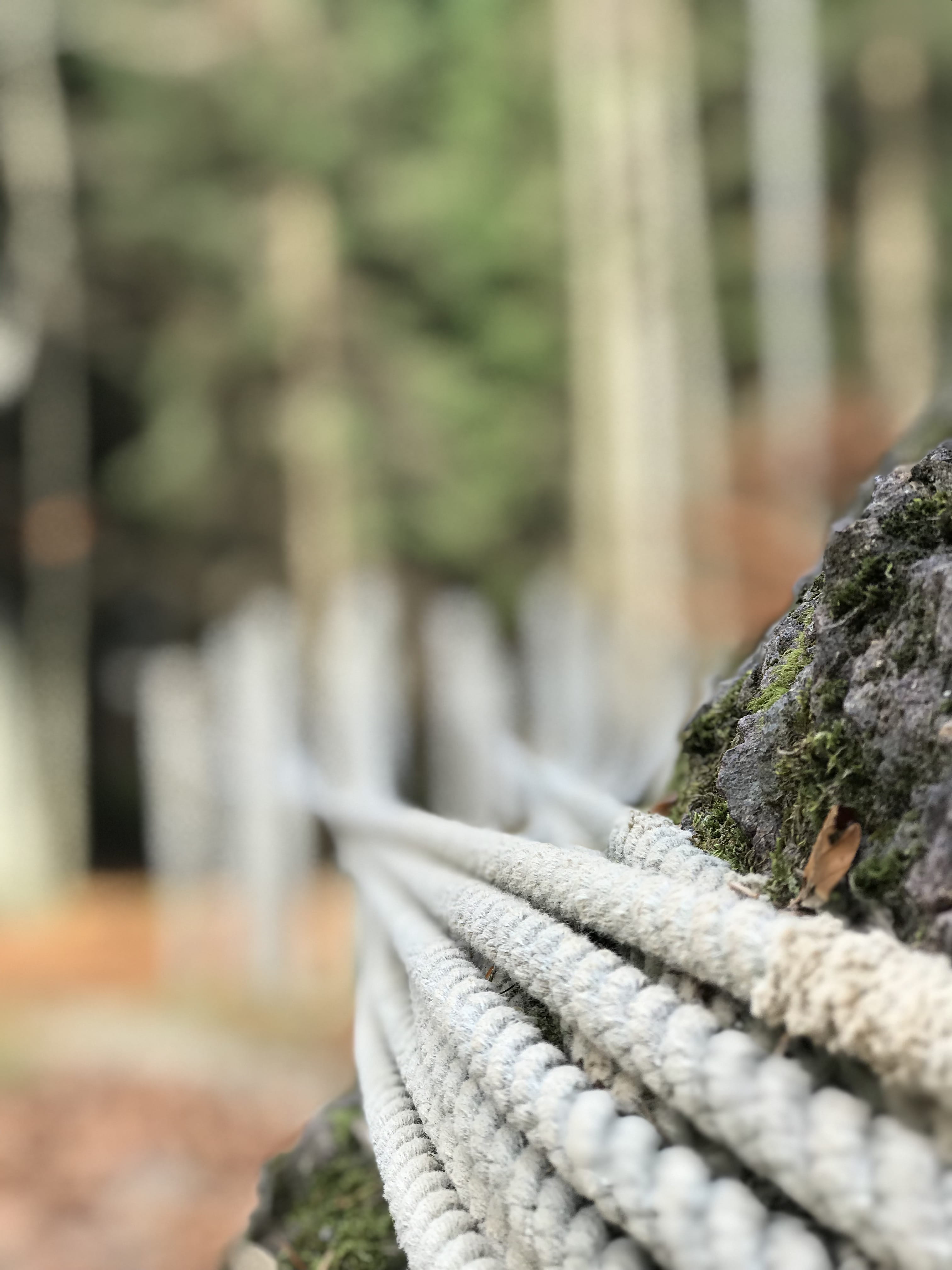 post, #nature, 4K, italy, art, land, metal, rope, hood, forest, field, borgo valsugana, tree, solid, nature, selective focus, strength, pattern, no people, Phone HD Wallpaper