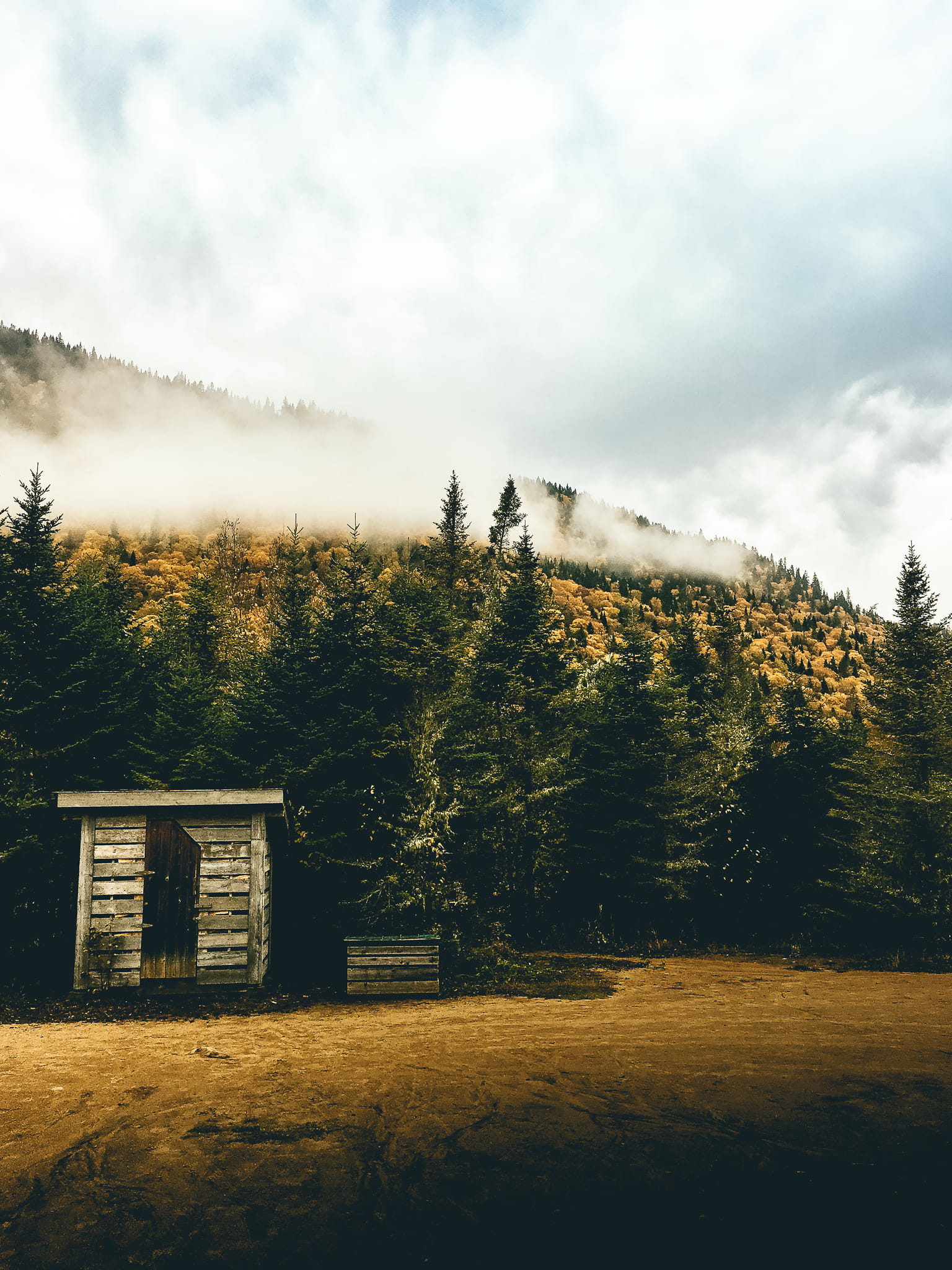 field, tree, forest, landscape, scenics - nature, building exterior, land, experience, fall, 1080P, architecture, fog, adventure, built structure, plant, Phone HD Wallpaper