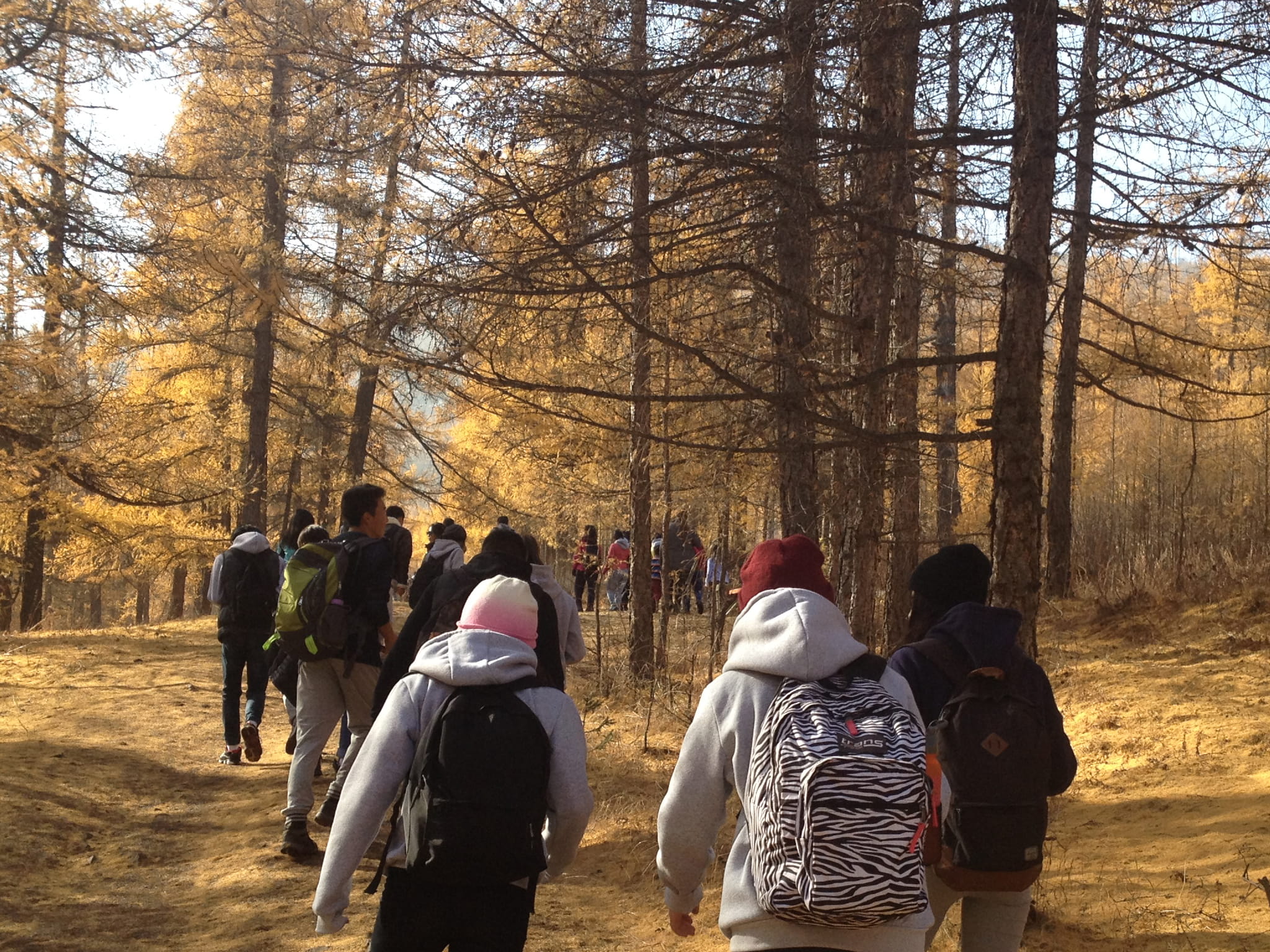 lake, group of people, men, forest, group, outdoors, tree, clothing, women, day, trees, nature, lifestyles, hicking, plant, winter, students, people, leisure activity, HD Wallpaper