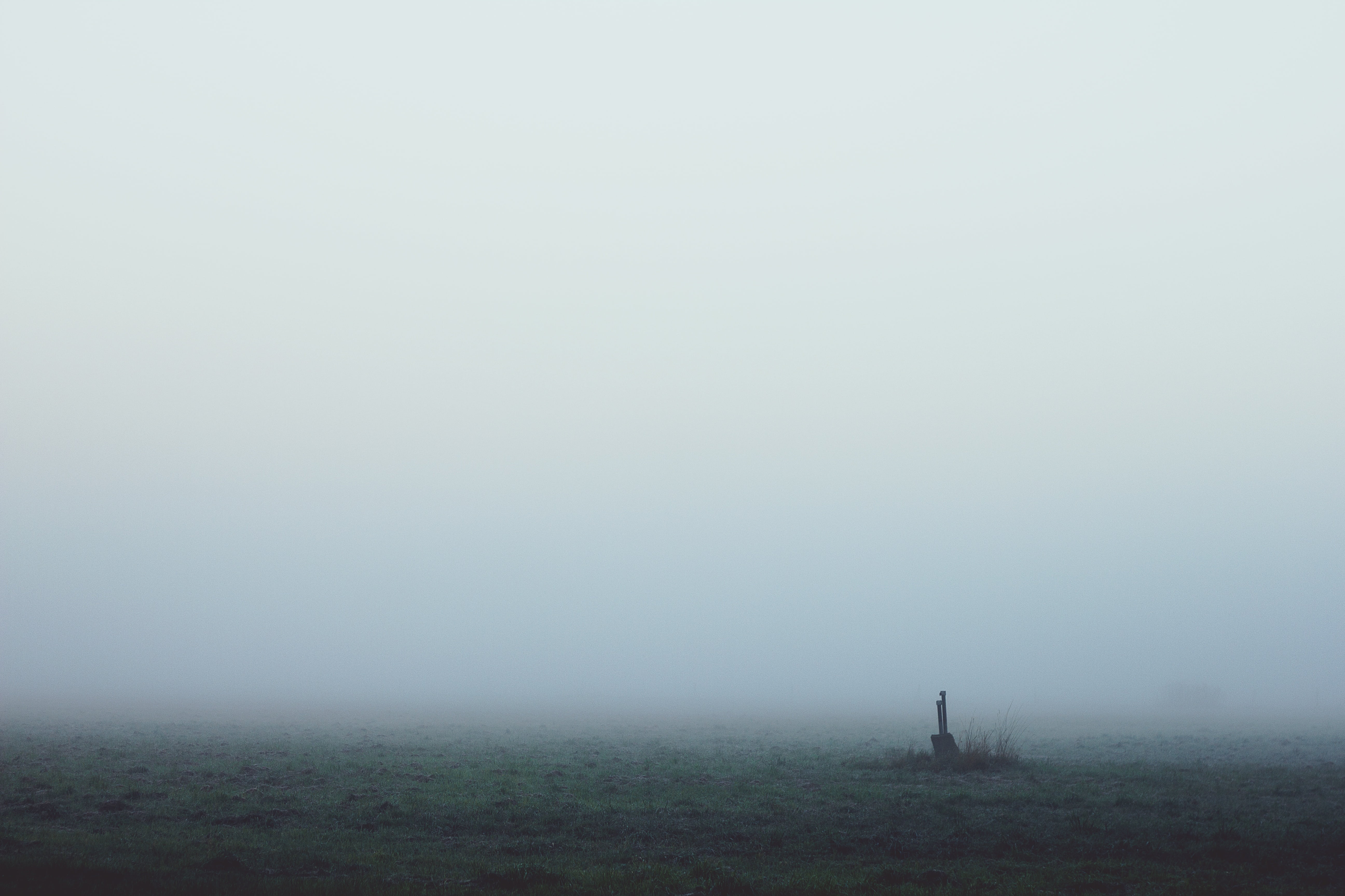 shrubs, wire, sky, landscape, mood, solitude, slurry, fog, 5K, sunlight, morning, one person, skies, diffuse, lonely, nebulized, day, morgenrot, standing, HD Wallpaper