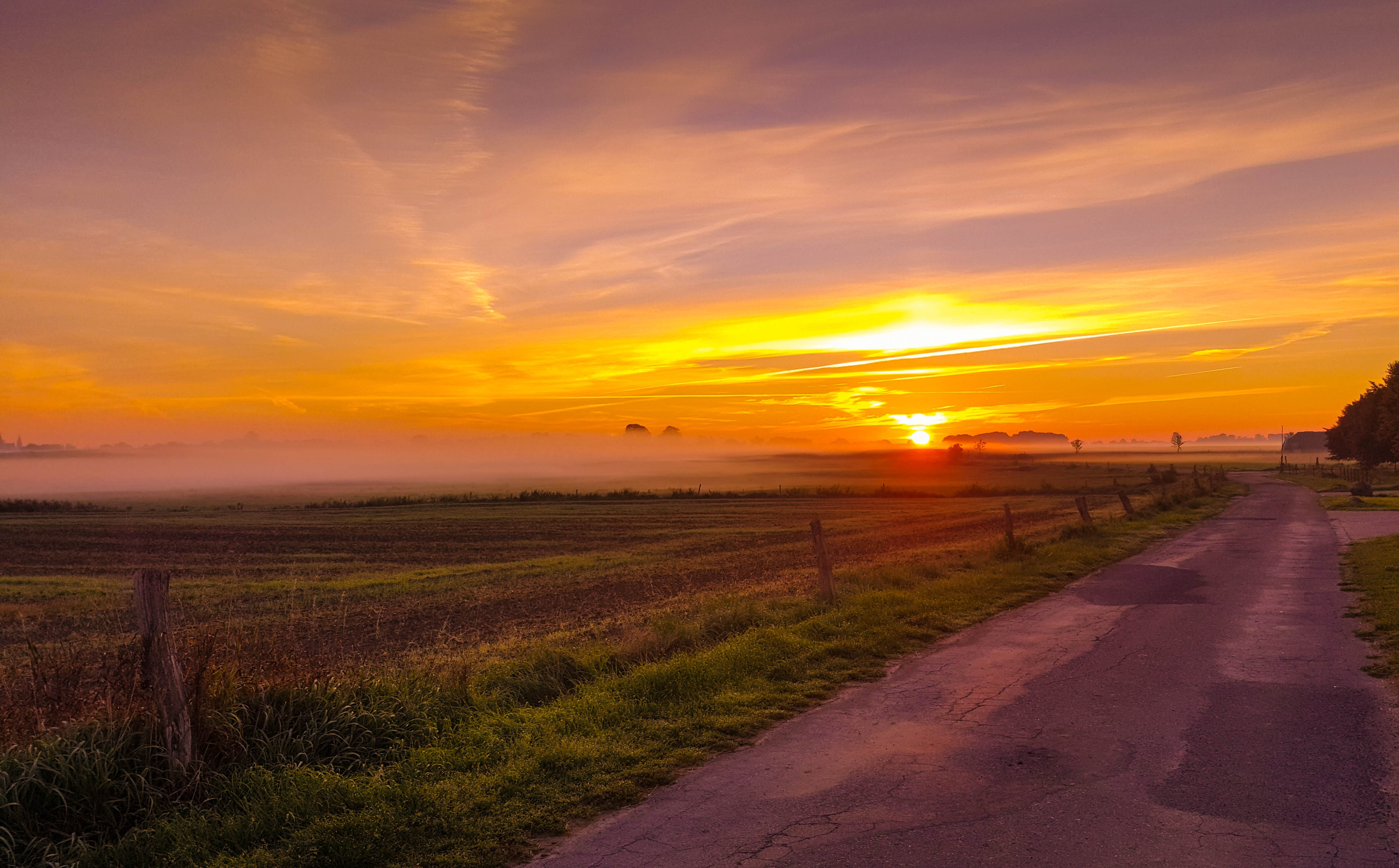 sunbeam, sunrise, plant, green, beauty in nature, tranquil scene, morning, sunset, barbwire, field, meadow, tranquility, horizon, nature, morning sun, morgenrot, HD Wallpaper