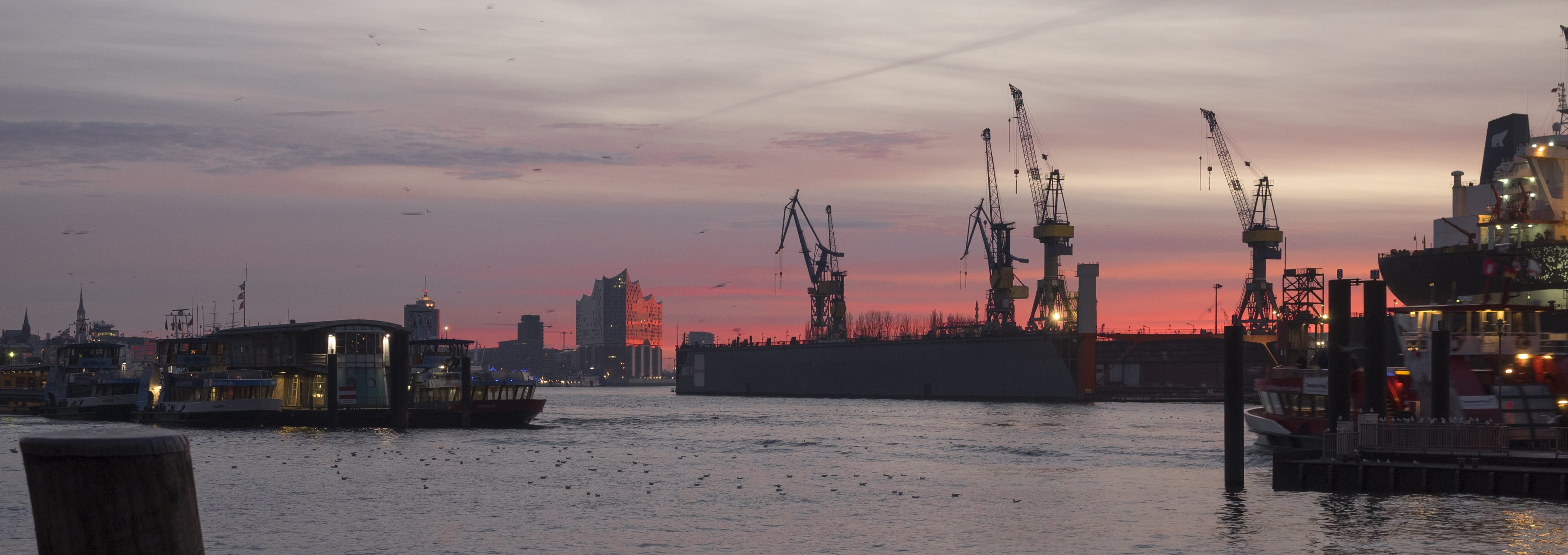crane - construction machinery, shipping, harbour cranes, freight transportation, hamburg port, sunset, nautical vessel, 4K, pier, hall, no people, architecture, HD Wallpaper