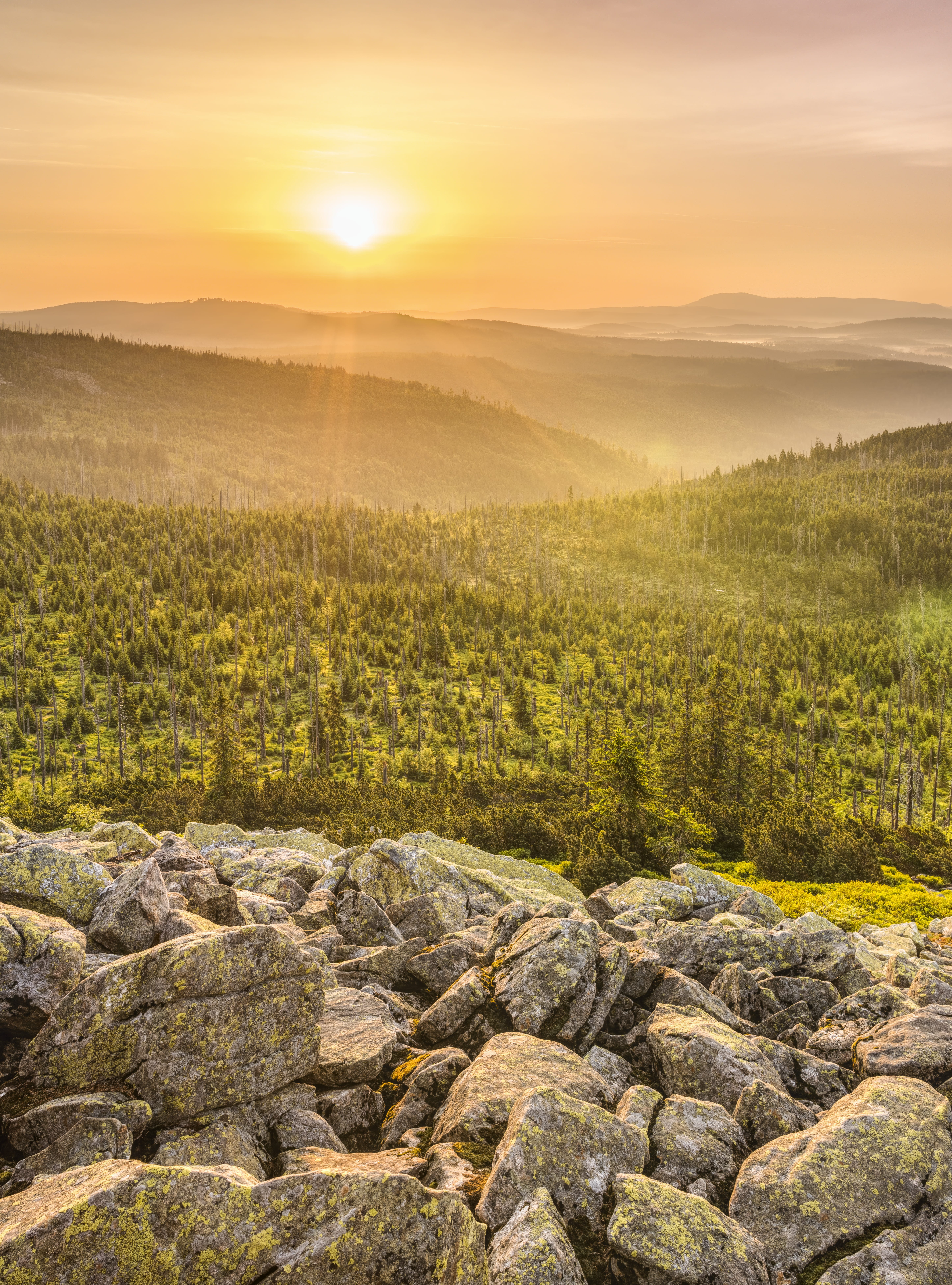 rock - object, atmospheric, morning sun, rock, nature, bavarian forest, beautiful, sunlight, plant, outdoors, lens flare, orange color, pine, no people, Phone HD Wallpaper