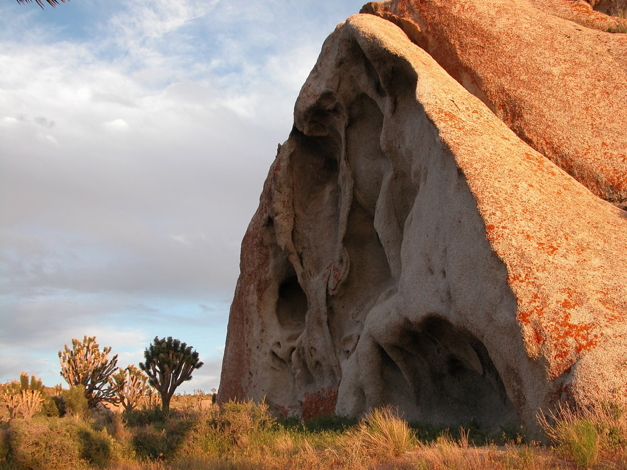 sunlight, non-urban scene, travel destinations, land, boulder, nature, rock - object, semi-arid, joshua trees, desert, 1080P, cima dome, plant, cloud - sky, HD Wallpaper