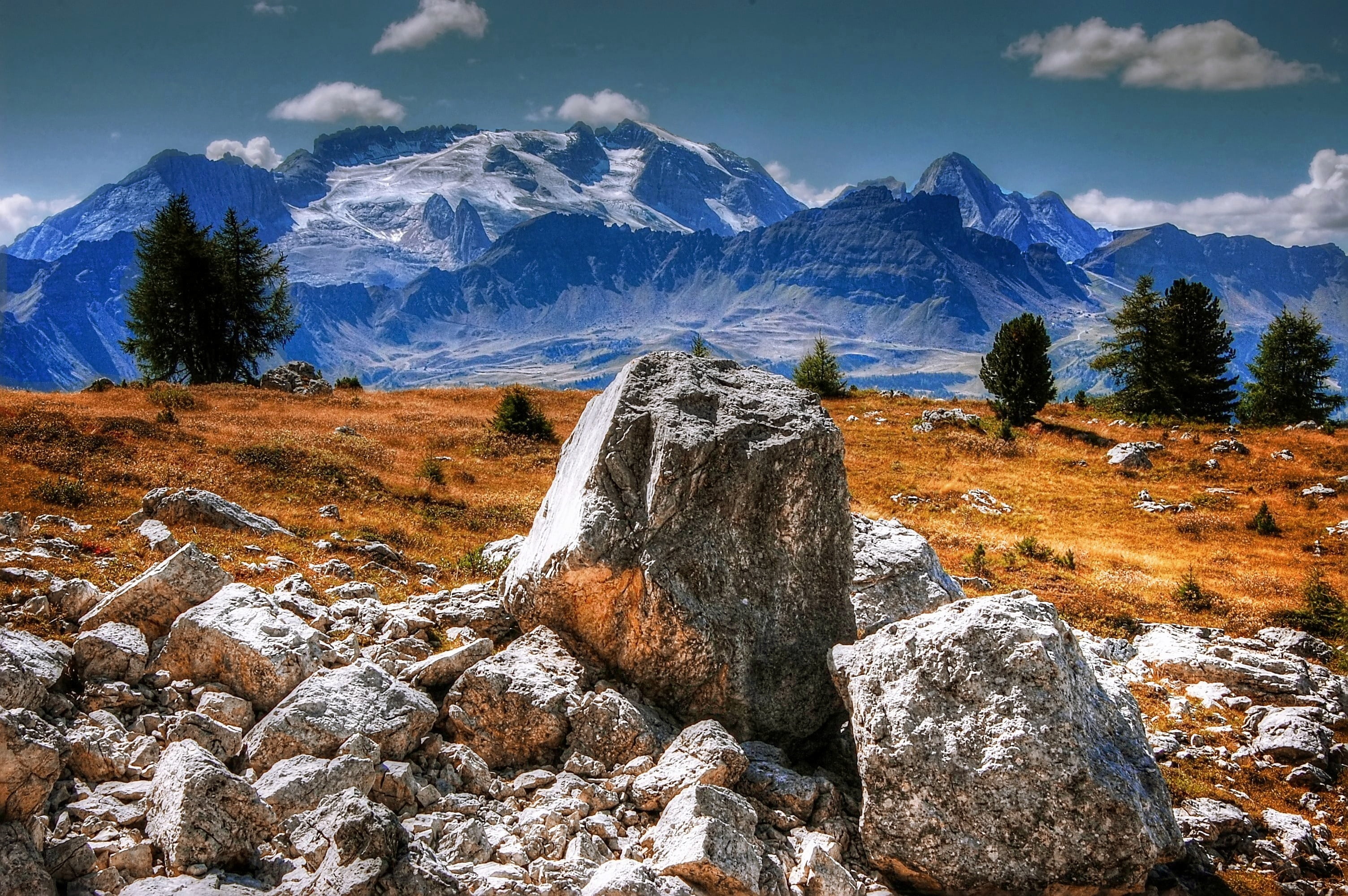 tree, outdoors, south tyrol, rock - object, italy, white, no people, mountain peak, snowcapped mountain, nature, scenics, marmolada north wall, view, cloud - sky, HD Wallpaper