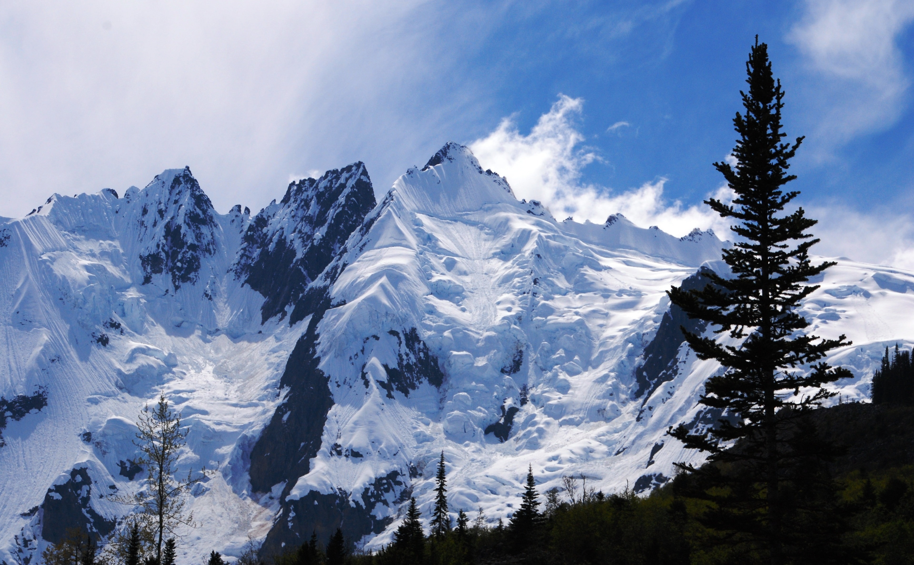 plant, mountain range, municipalityofskagwayborough, skagway, Jagged, vigilant, coniferous tree, non-urban scene, photographers, Snow, tranquility, remember, HD Wallpaper