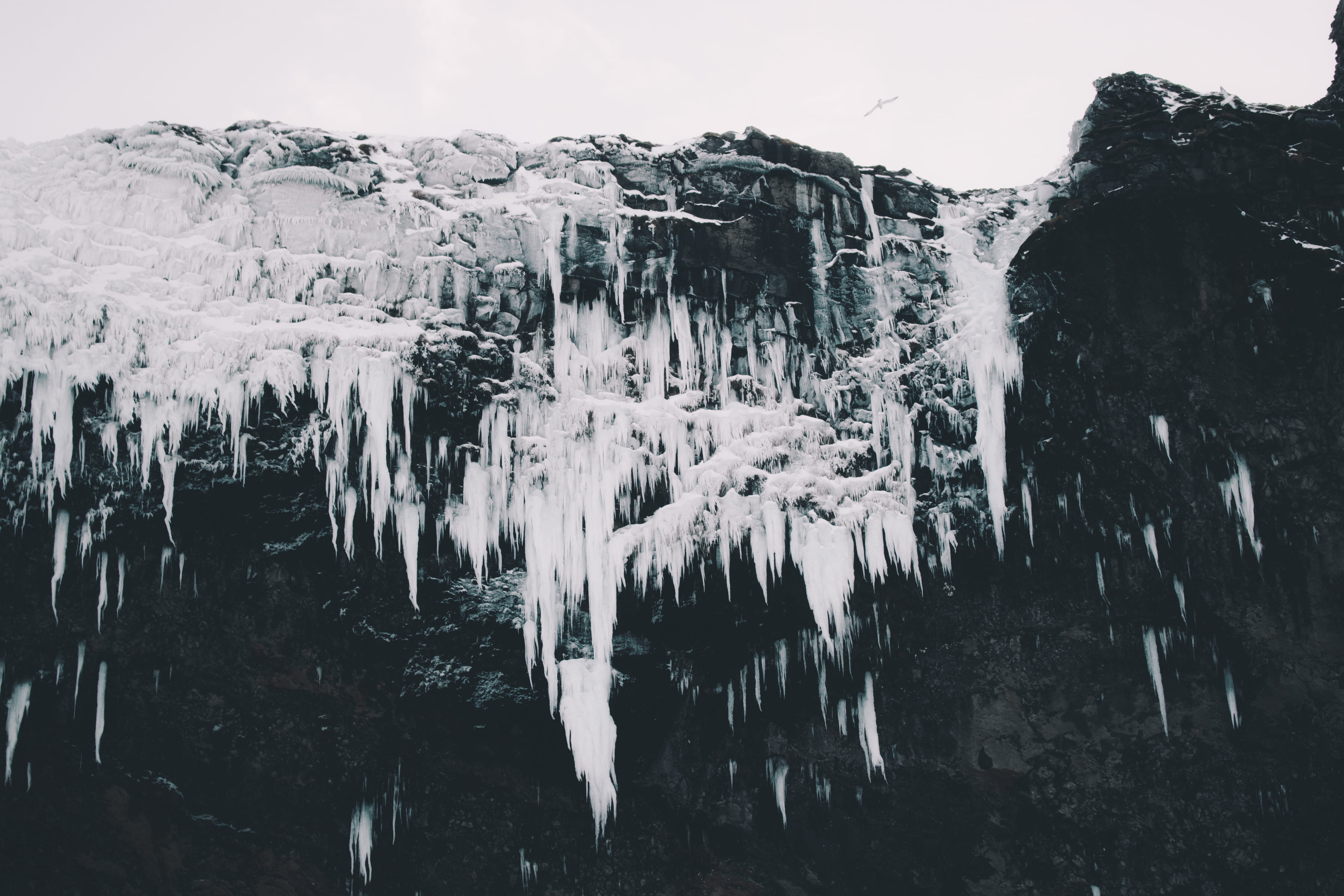 white, photo, reykjavik, frozen, 5K, outdoors, rock, stalagmites, minimalism, frost, winter, glacier, faded, arctic, dark, snow, ice, water, black and white, HD Wallpaper