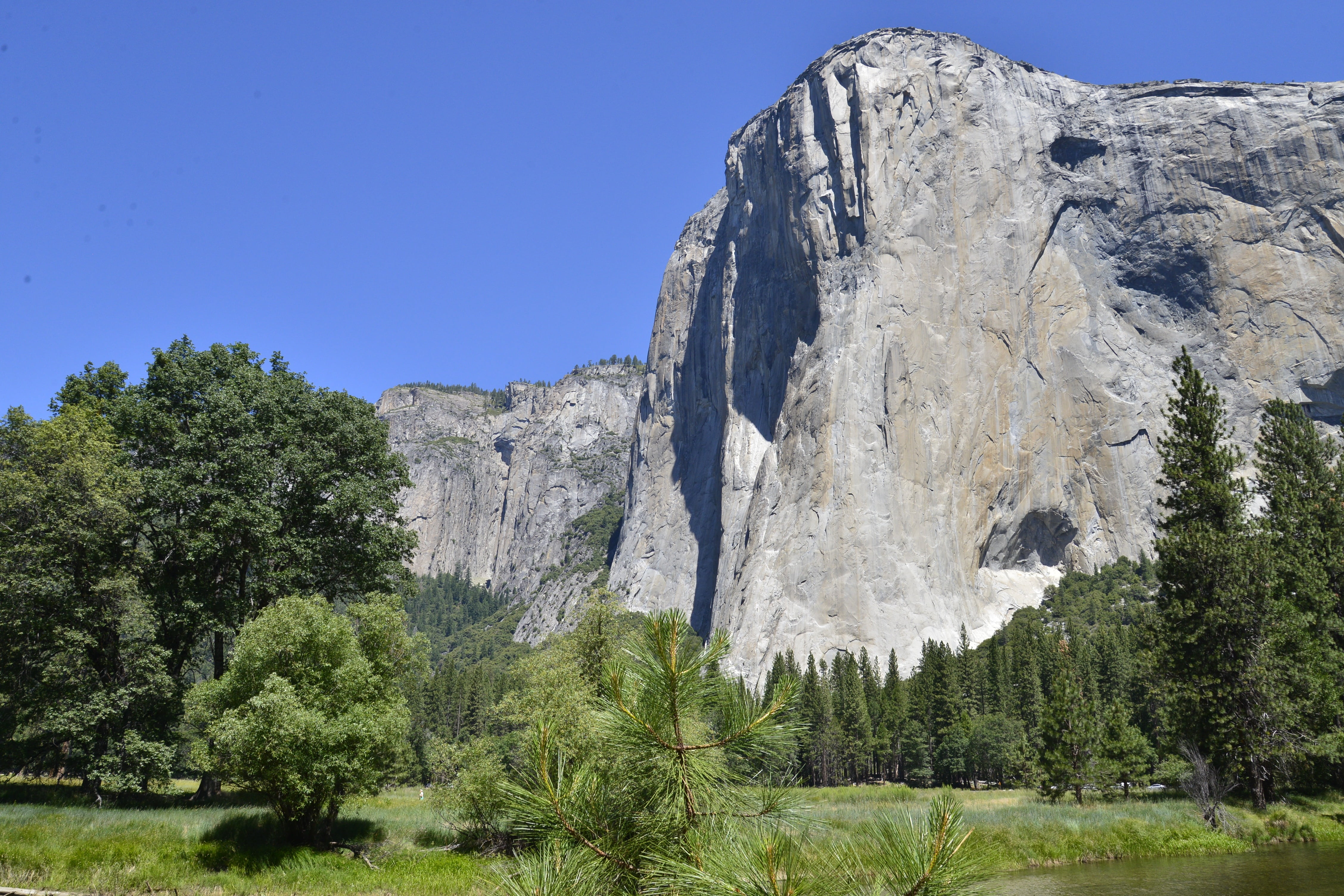 scenics - nature, high, plateau, rugged, vacation, terrain, el, tourism, coniferous tree, rocky, grand, giant, green color, altitude, gigantic, blue, growth, HD Wallpaper