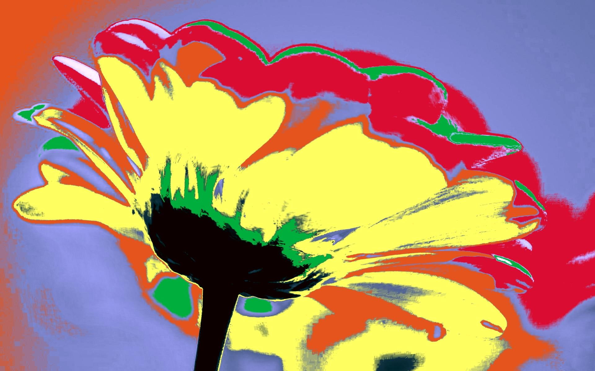 nature and landscapes, flower, orange, kolory, red, abstrakcja, yellow, kwiat, natura, 1080P, abstrakcyjny, HD Wallpaper