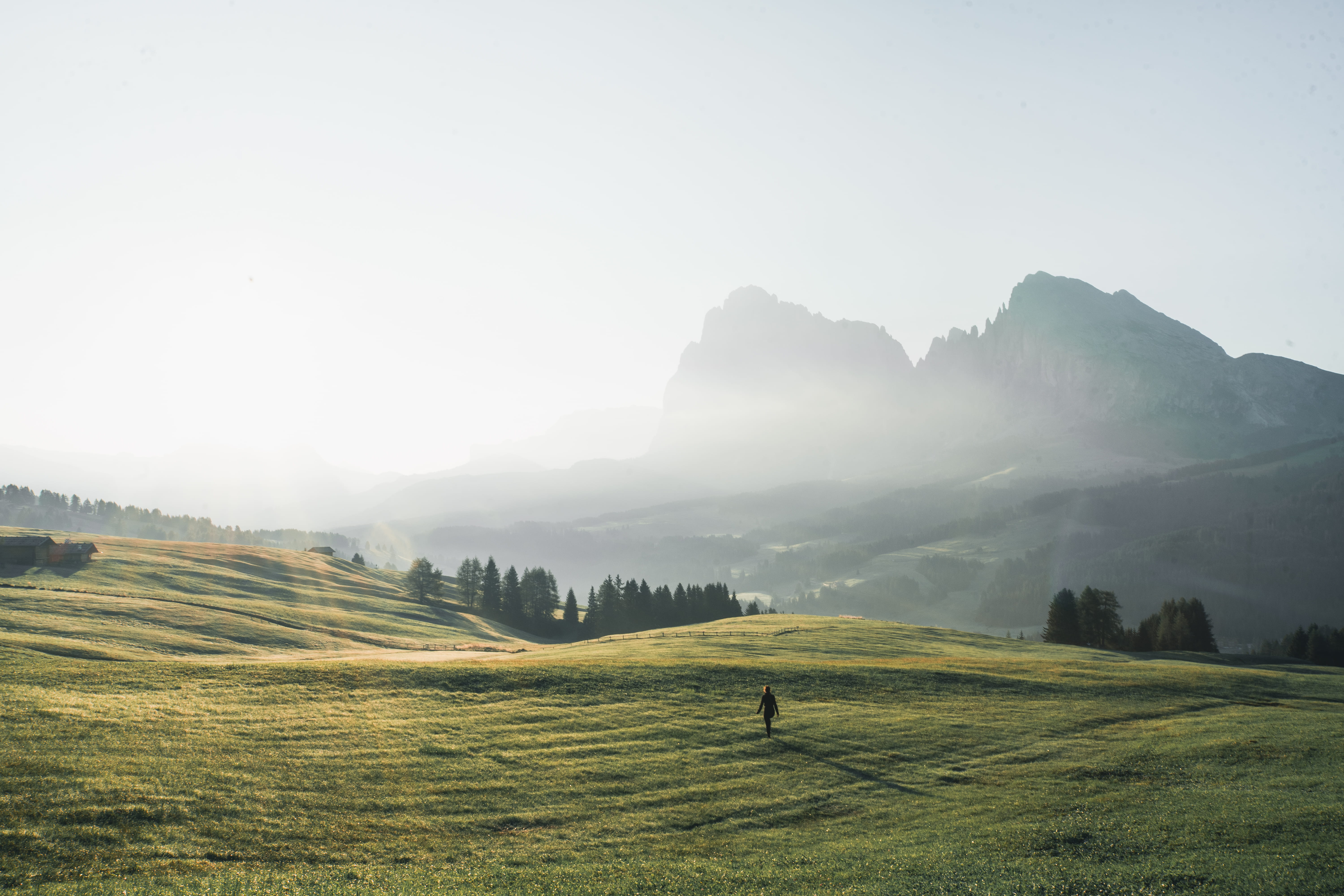 no people, field, grass, alpe di siusi, plant, tranquil scene, tranquility, mountain range, environment, scenics - nature, sky, day, italy, 5K, rolling landscape, HD Wallpaper