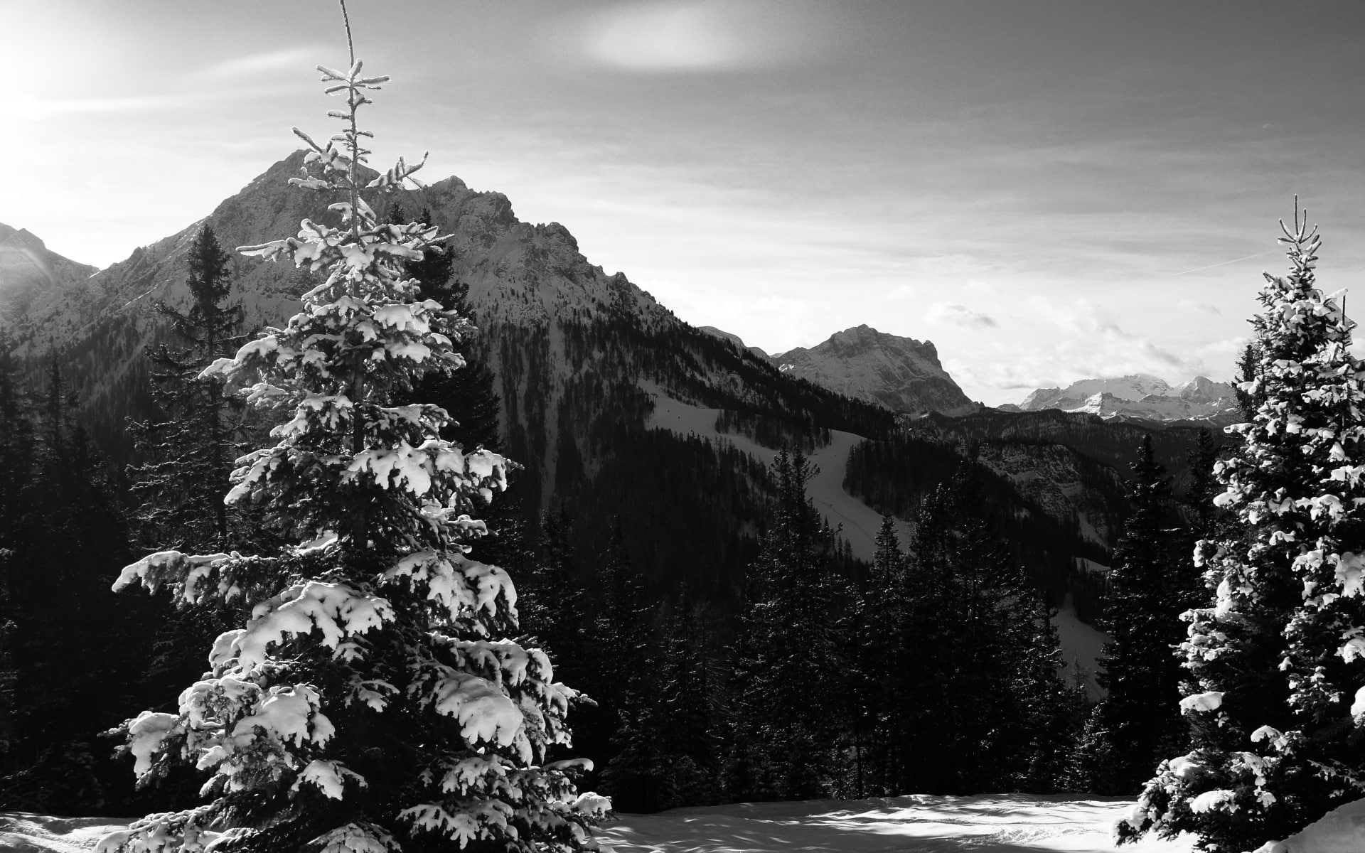 trees, italy, grayscale, 1080P, snow, landscapes, alps, kronplatz, HD Wallpaper