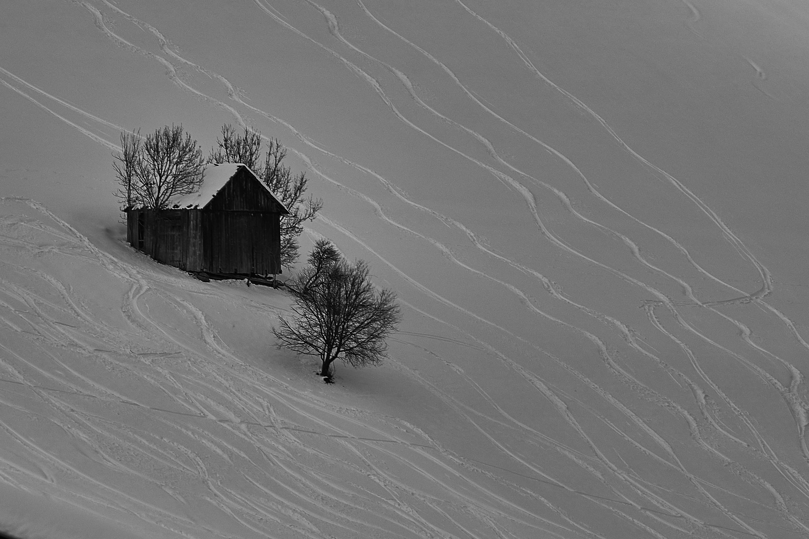 scenics - nature, 2K, house, no people, hut, land, environment, snow, nature, extreme weather, architecture, building exterior, field, landscape, built structure, HD Wallpaper