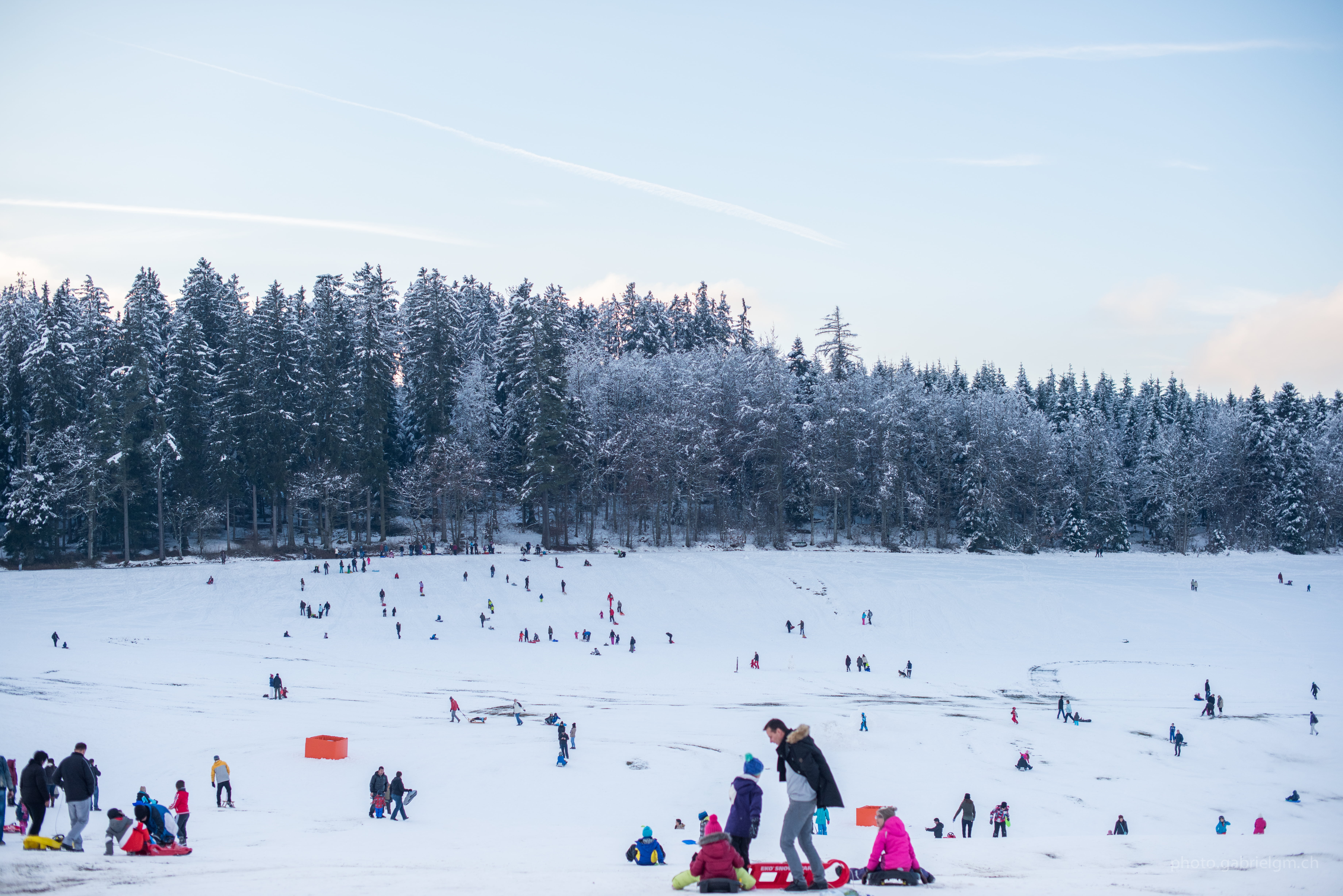 ice, day, ski resort, real people, people, crowd, hill, cold temperature, large group of people, skier, leisure activity, frost, land, tree, outdoors, wood, HD Wallpaper