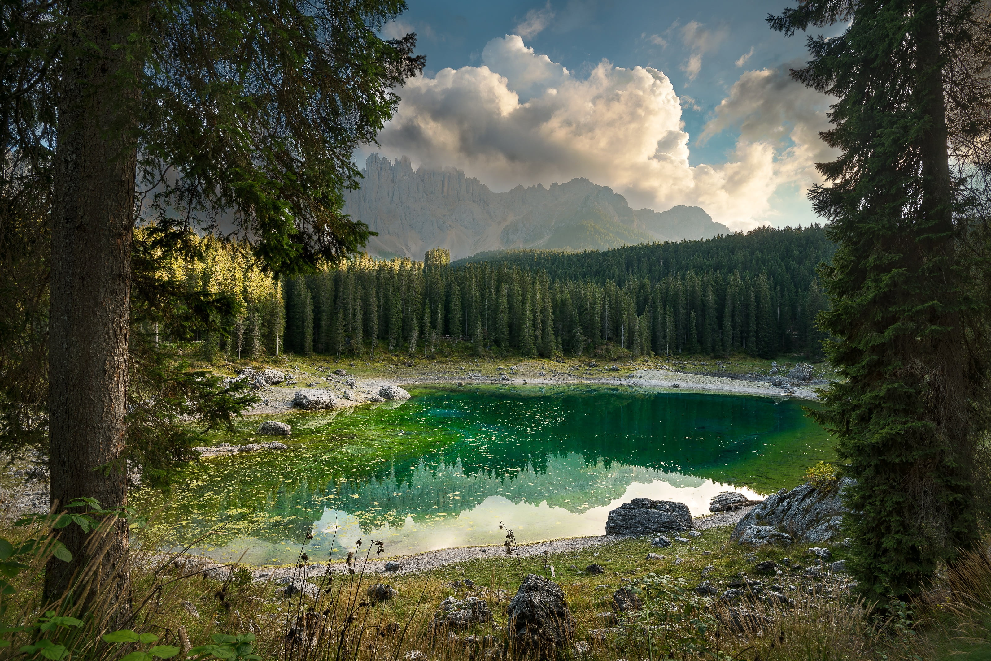 trees, mountains, Italy, nature, Karersee, The Dolomites, lake, Carezza, landscape, 2K, forest, HD Wallpaper