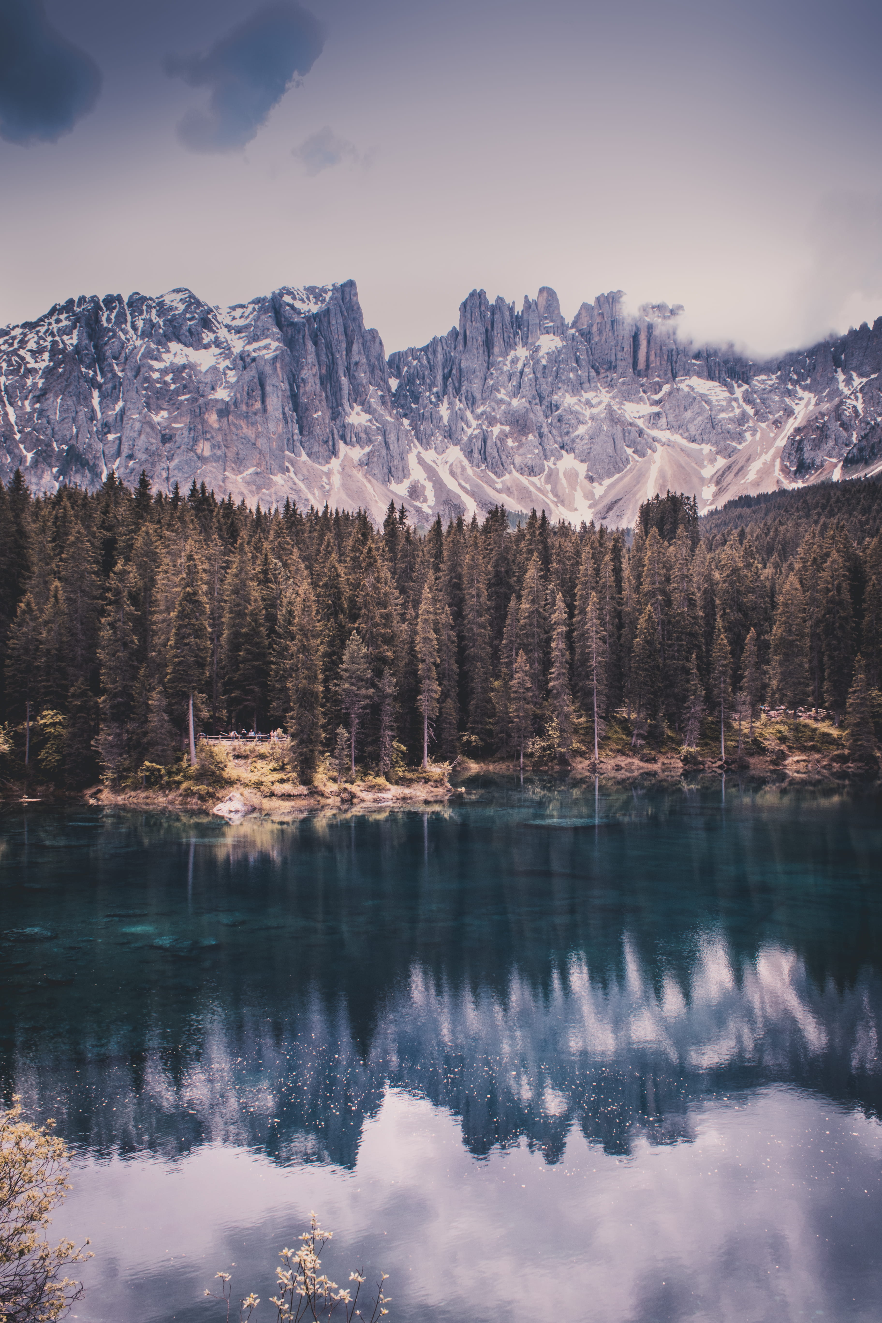 conifer, sky, scenics - nature, waterfront, south tyrol, tranquil scene, reflection, winter, dolomites, dawn, evergreen, scenery, trees, italy, idyllic, Phone HD Wallpaper