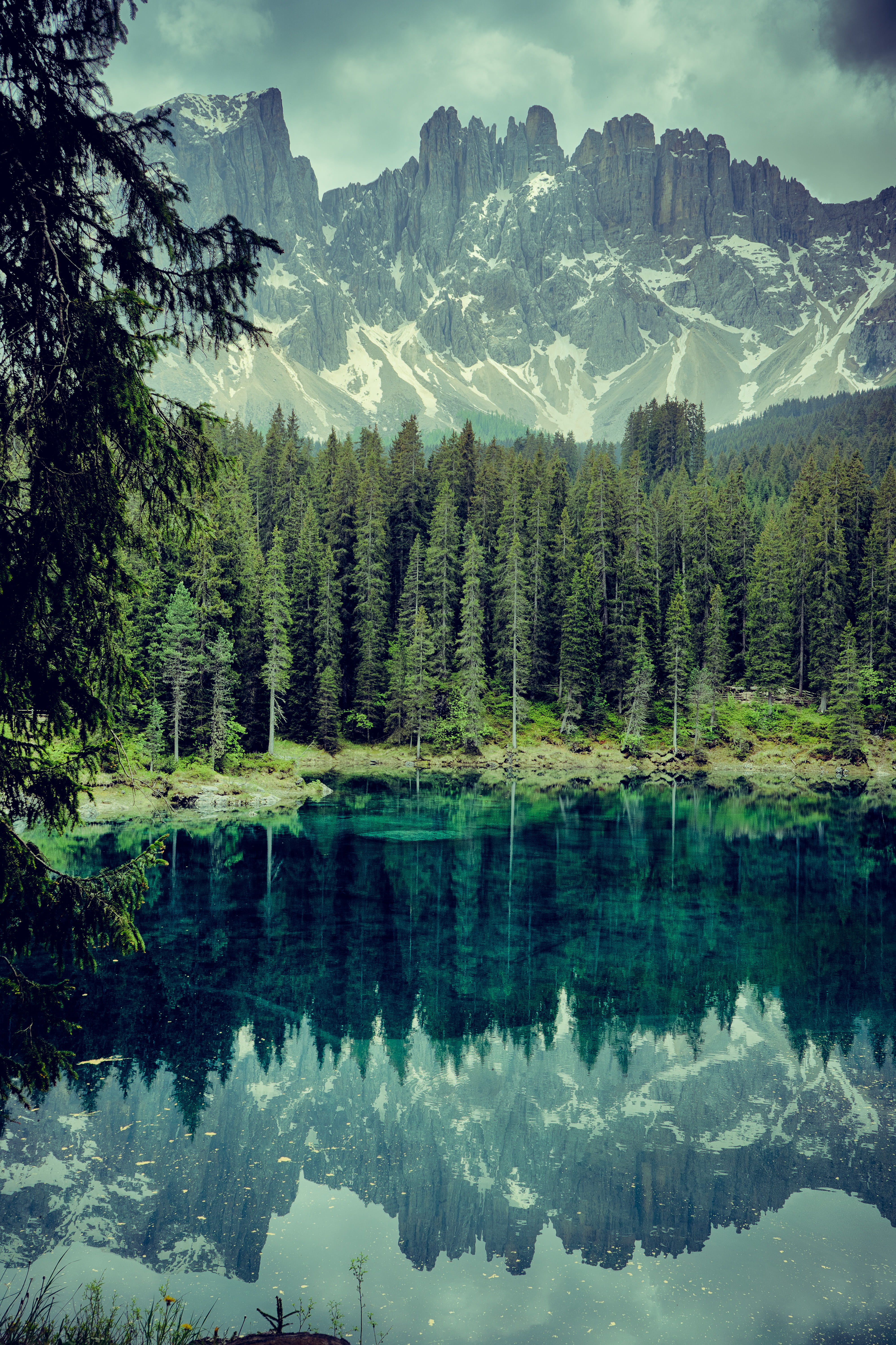 beauty in nature, day, 5K, peak, growth, ice, rock, italy, waterfront, pine, reflection, alp, water, snow, trees, snowcapped mountain, outdoors, idyllic, Phone HD Wallpaper