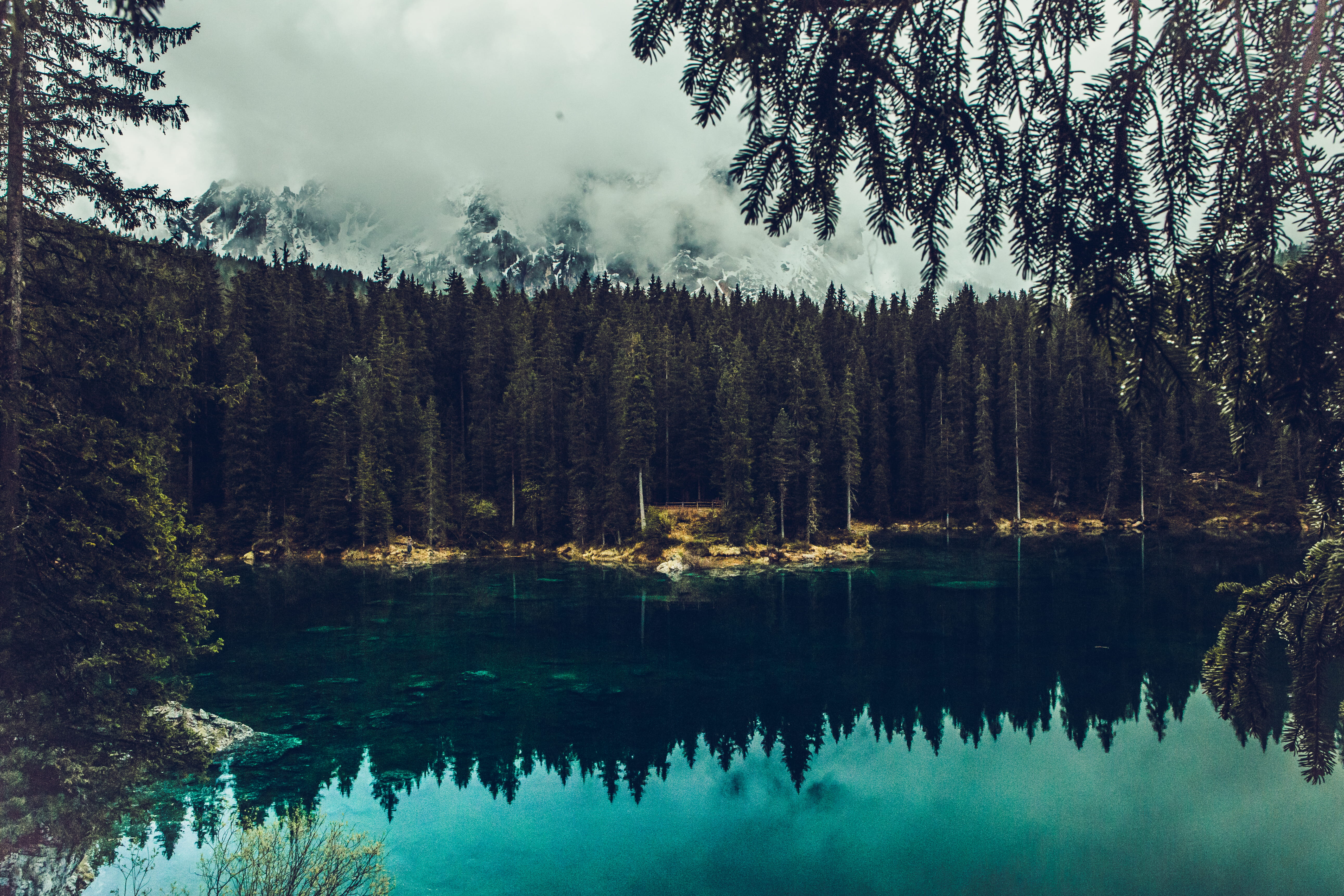 calm, italy, water, non-urban scene, nature, sea, trees, alps, idyllic, tranquility, plant, clouds, misty, no people, fog, forest, pine woodland, 5K, day, HD Wallpaper