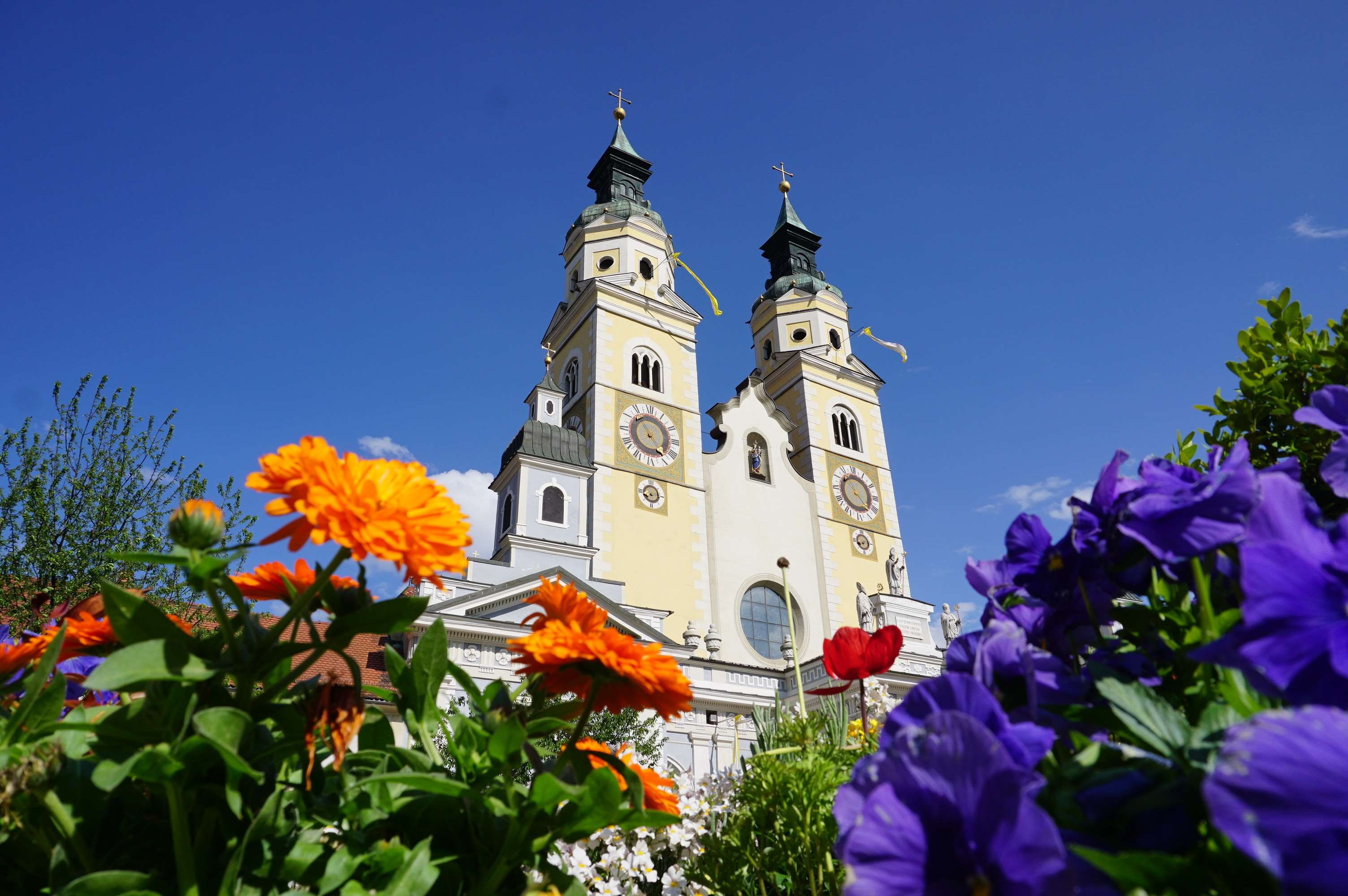 fragility, medieval, low angle view, basilica, culture, nature, flower, tree, flower head, duomo, day, spire, sky, historical centre, clear sky, blue, growth, HD Wallpaper