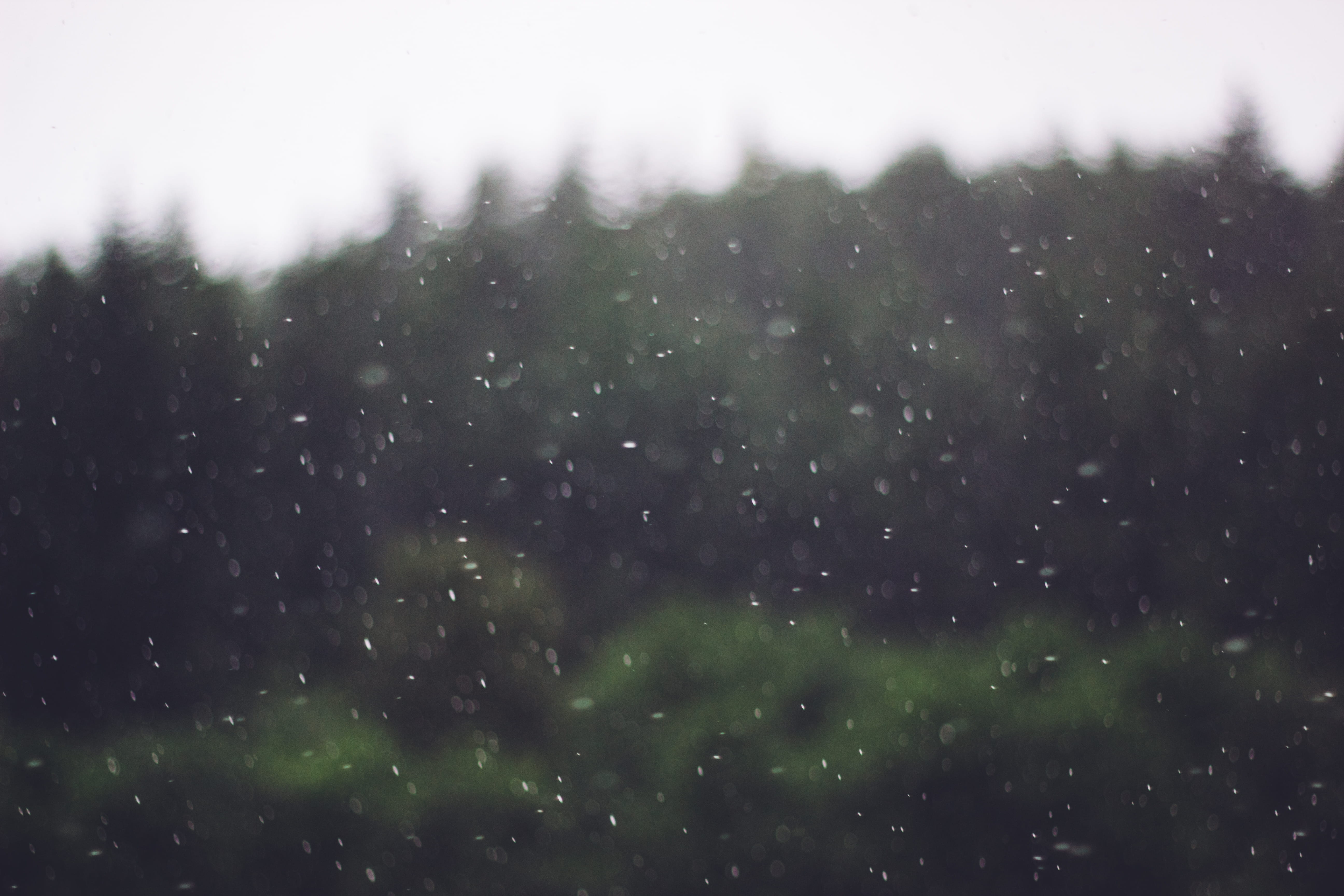 5K, united kingdom, forest, rain, spean bridge, drop, scenics - nature, rainy season, backgrounds, mountain range, green color, raindrop, snowing, beauty in nature, HD Wallpaper