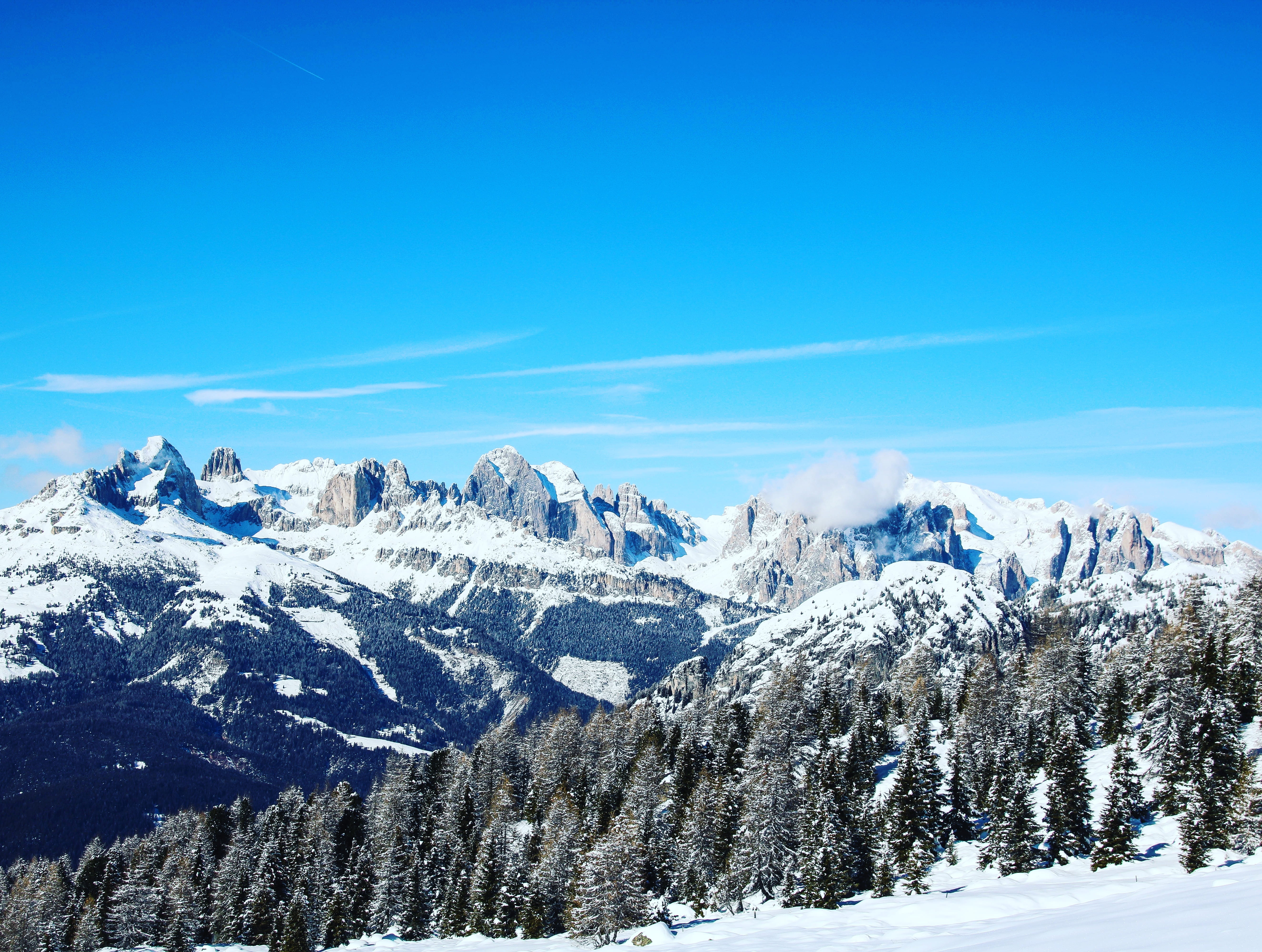 environment, landscape, sky, outdoors, day, climate, tranquility, 5K, snowcapped mountain, forest, tree, ice, tranquil scene, italy, trees, no people, HD Wallpaper