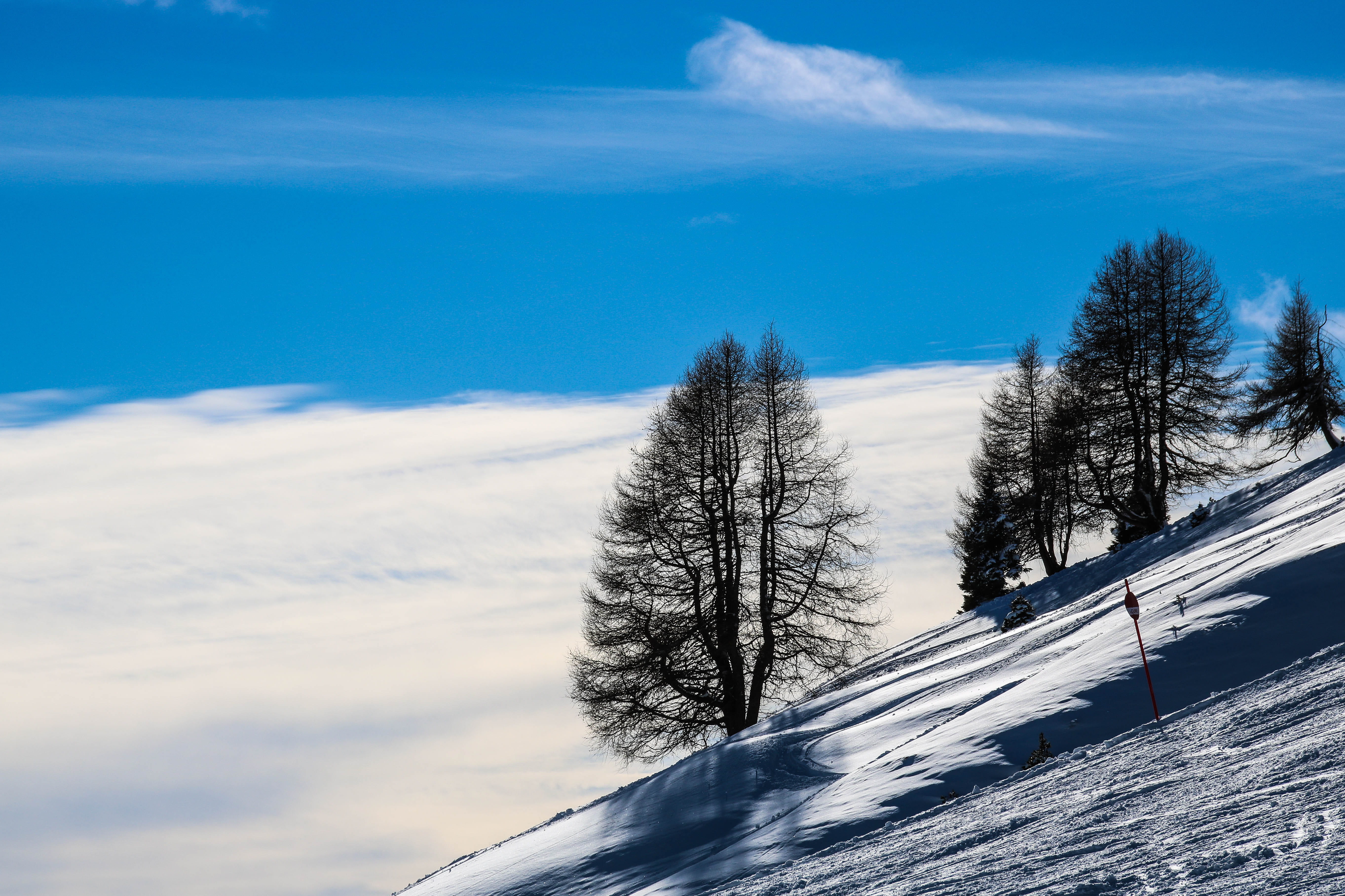 snow, blue, cloud - sky, plant, nature, non-urban scene, day, san pellegrino pass, tree, land, sky, snowcapped mountain, environment, covering, scenics - nature, HD Wallpaper