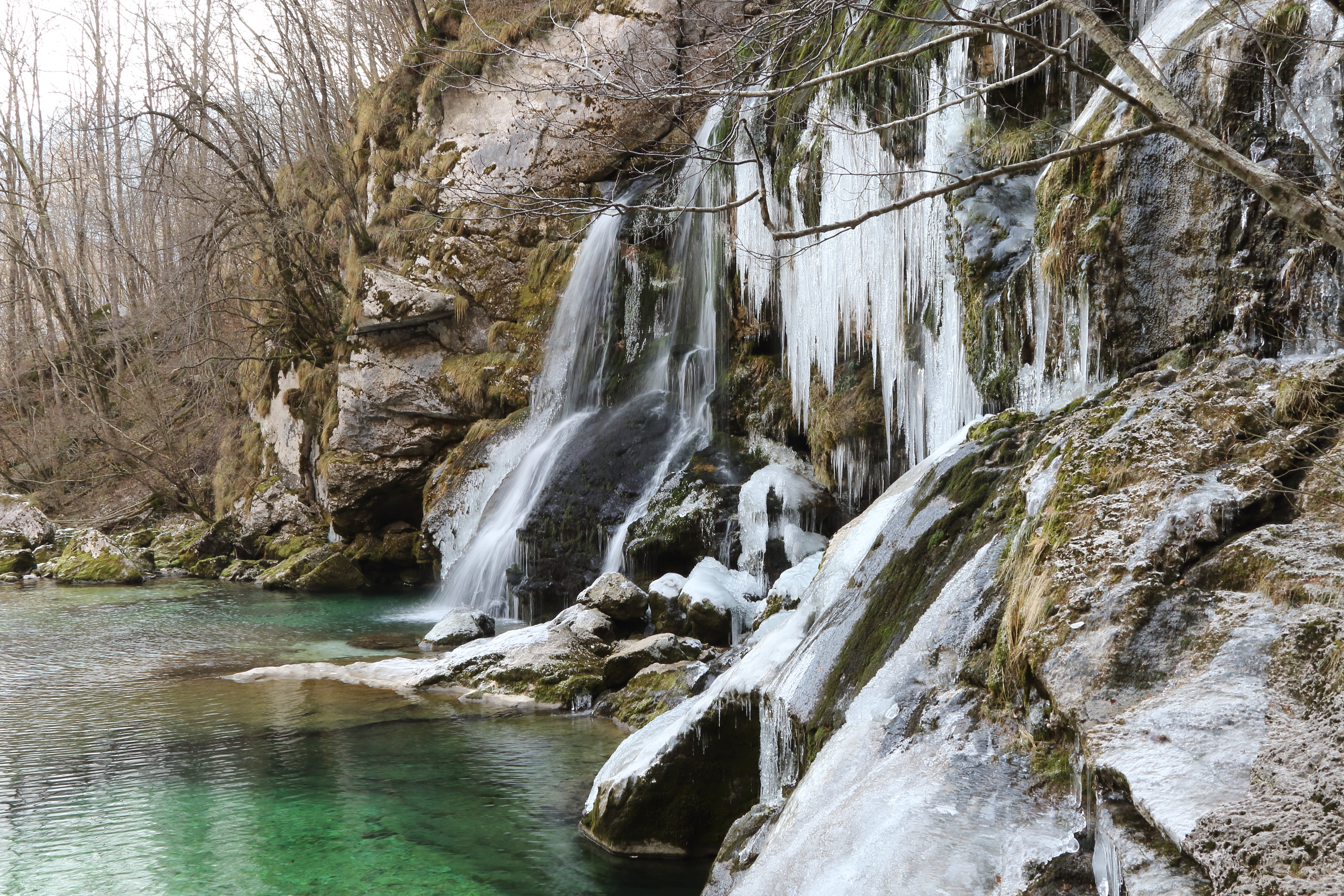 nature, tree, near, D Mark, 5K, forest, Mark II, stream, false, landscape, Waterfall, brown, cascata, scenics, river, Slovenia, Virje, torrente, Canon 7, HD Wallpaper