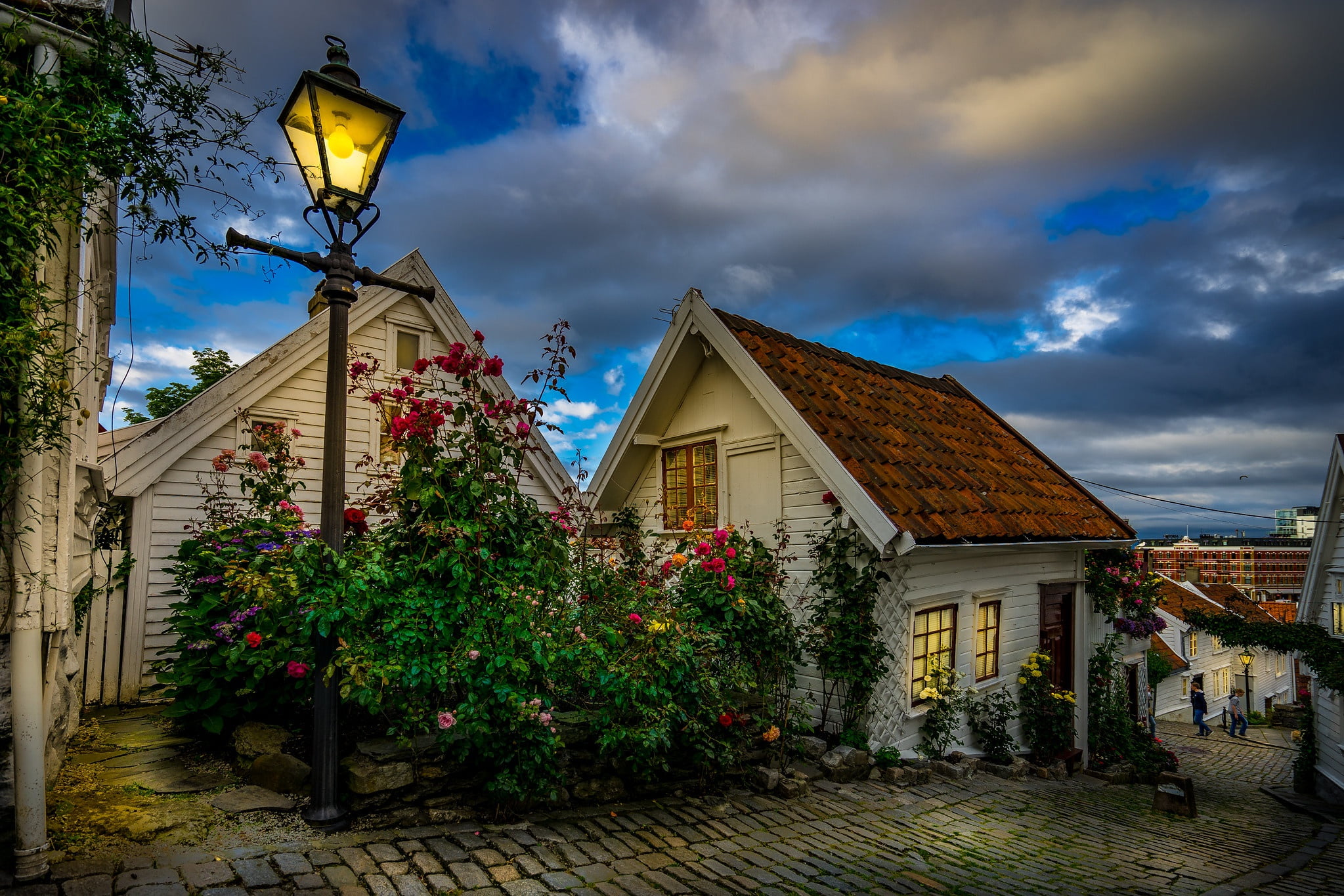 the evening, street, municipality, home, Stavanger, the city, lights, bridge, flowers, 1080P, Norway, plantings, lighting, HD Wallpaper