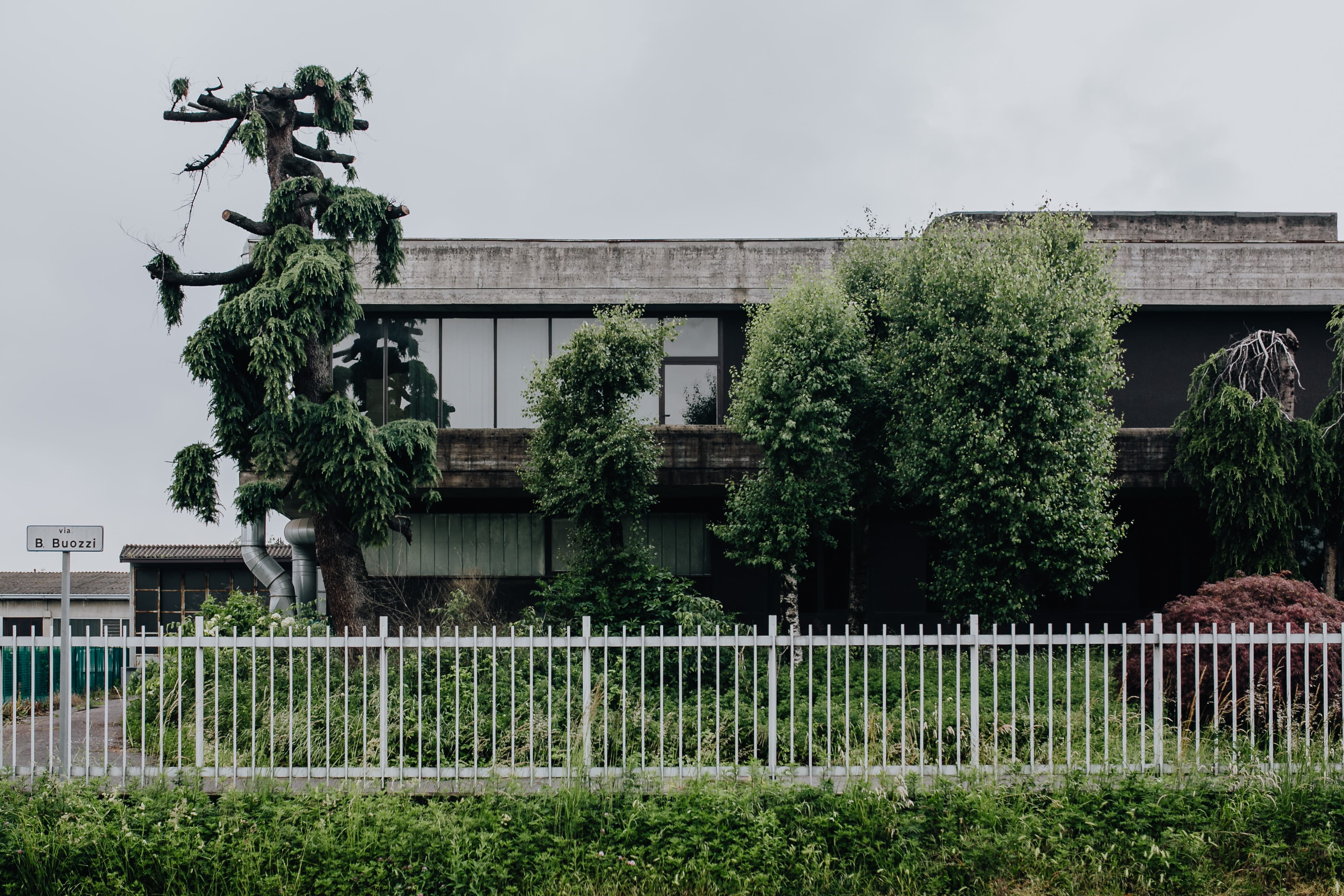 may, nature, architecture, no people, grass, barrier, day, growth, sky, Italy, leaves, green, leaf, building exterior, fence, building, tree, hedge, plant, HD Wallpaper