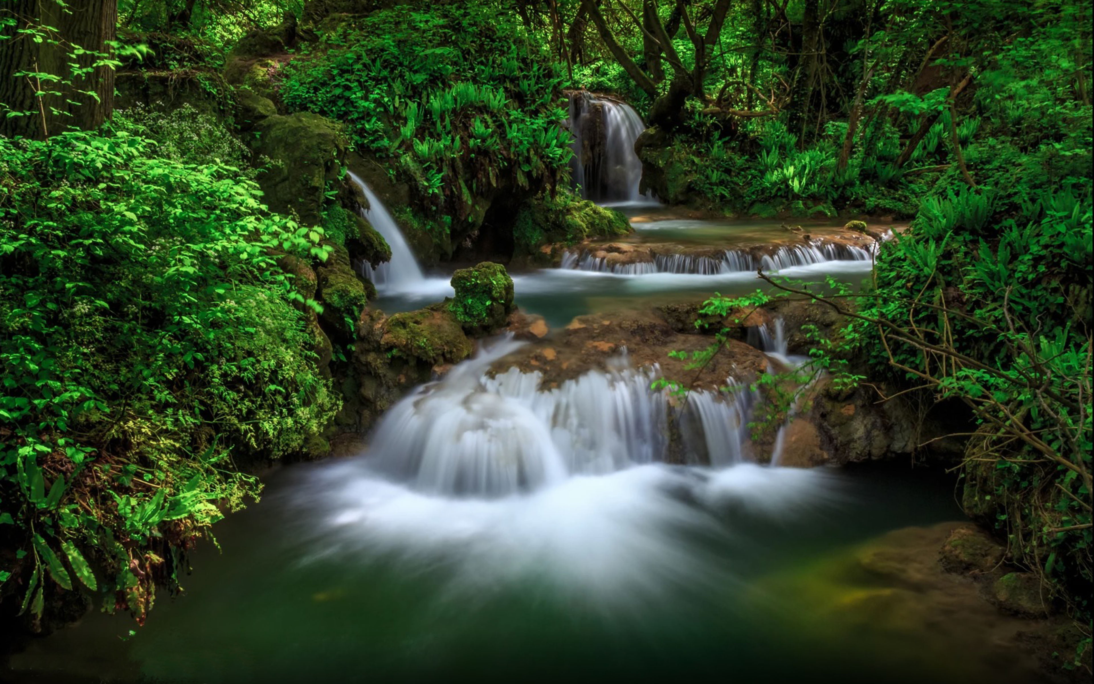 flowing, municipality, desktop, letnica, krushuna, flowing water, waterfall, bulgaria, nature, outdoors, green color, growth, forest, falling water, HD Wallpaper