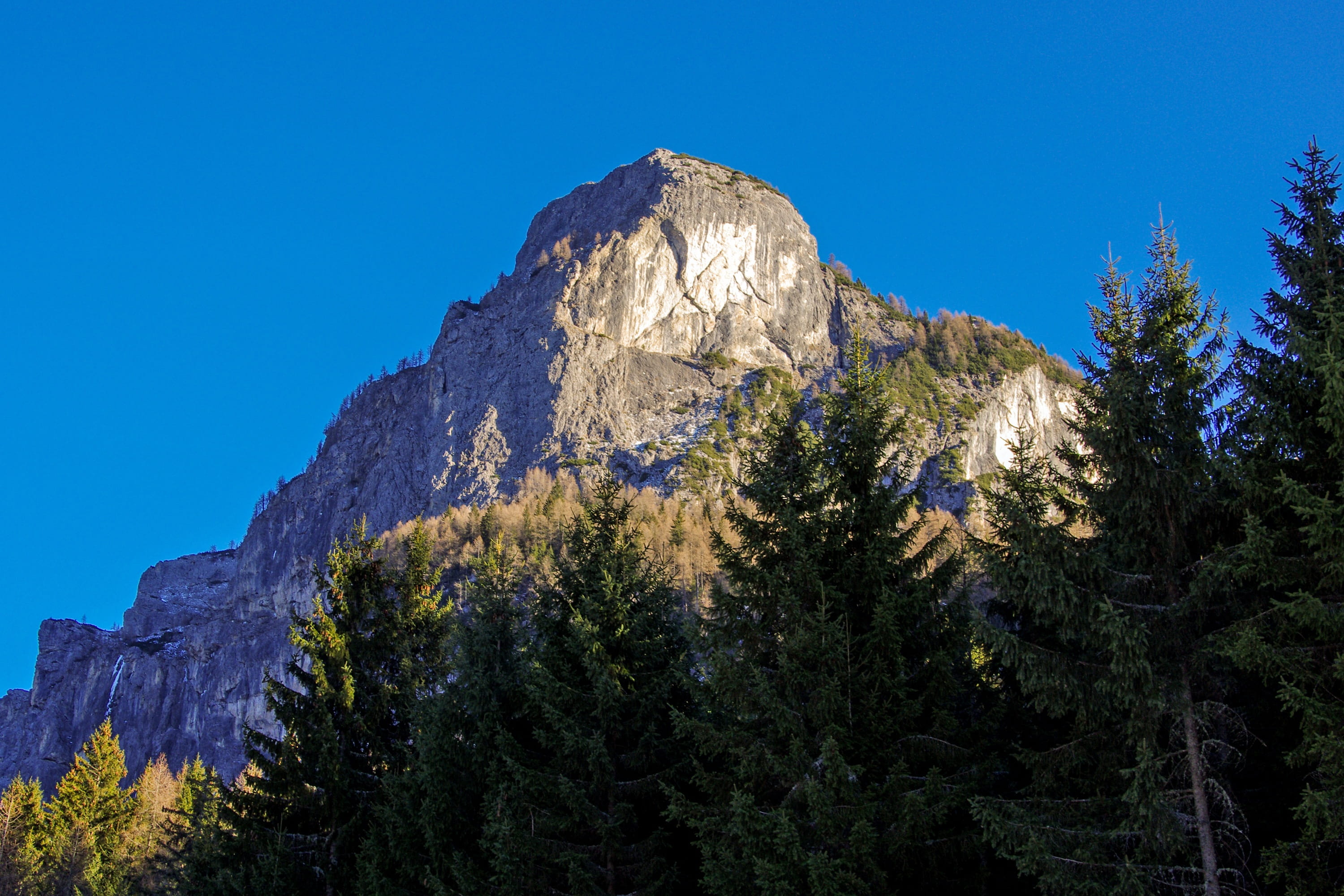 Veneto, Dolomites, forest, rock, alps, mountain range, pine tree, pelmo, tranquility, pine woodland, land, formation, low angle view, beauty in nature, HD Wallpaper