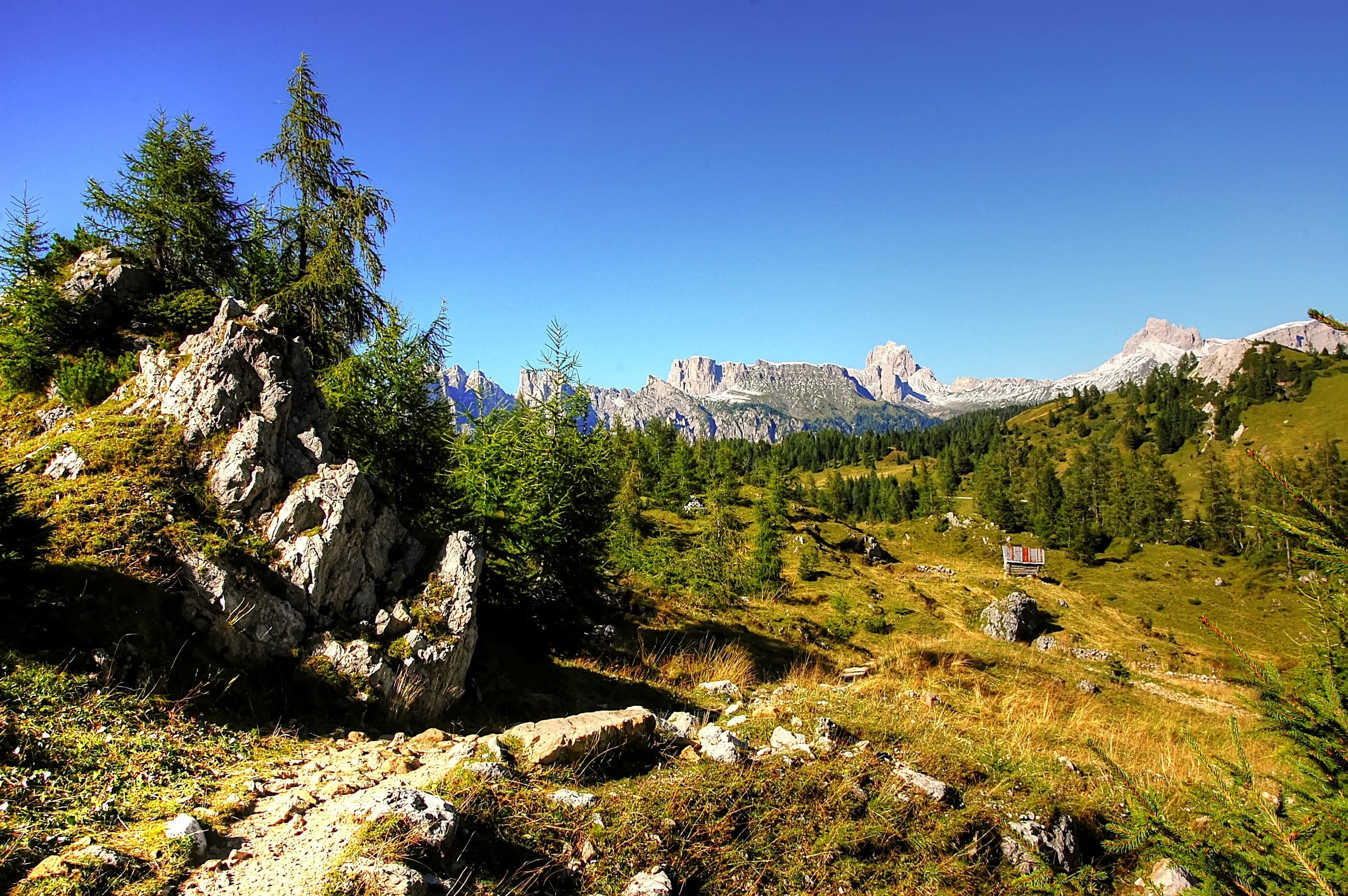 sky, mountain, nature, panorama, tranquility, vacations, solid, tree, incredible, summit, day, tranquil scene, pelmo, summer, rock - object, mountains, HD Wallpaper