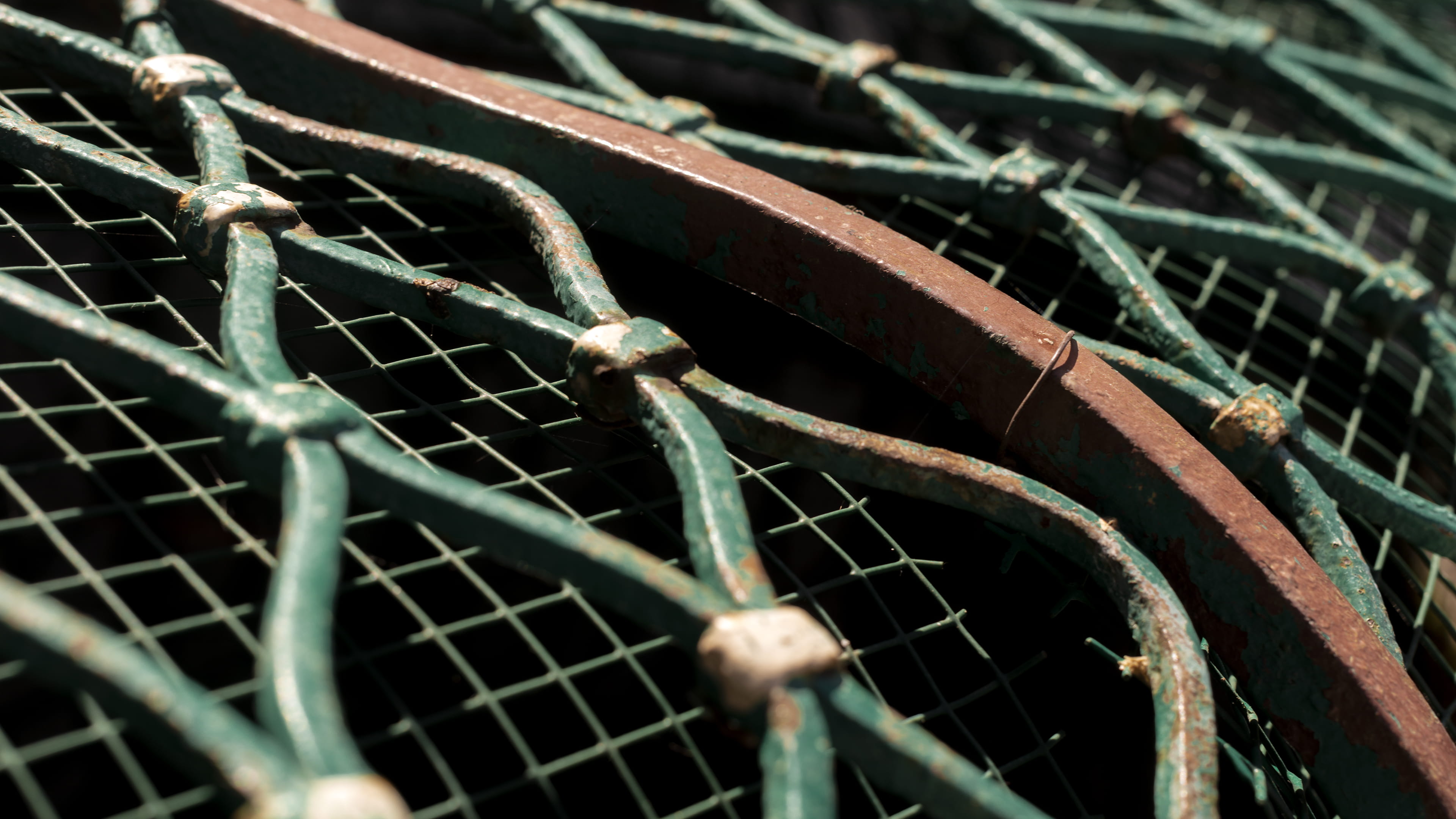 chiesa di san benedetto, plant, barrier, outdoors, full frame, selective focus, fence, catania, sharp, protection, rusty, deterioration, boundary, spider web, HD Wallpaper