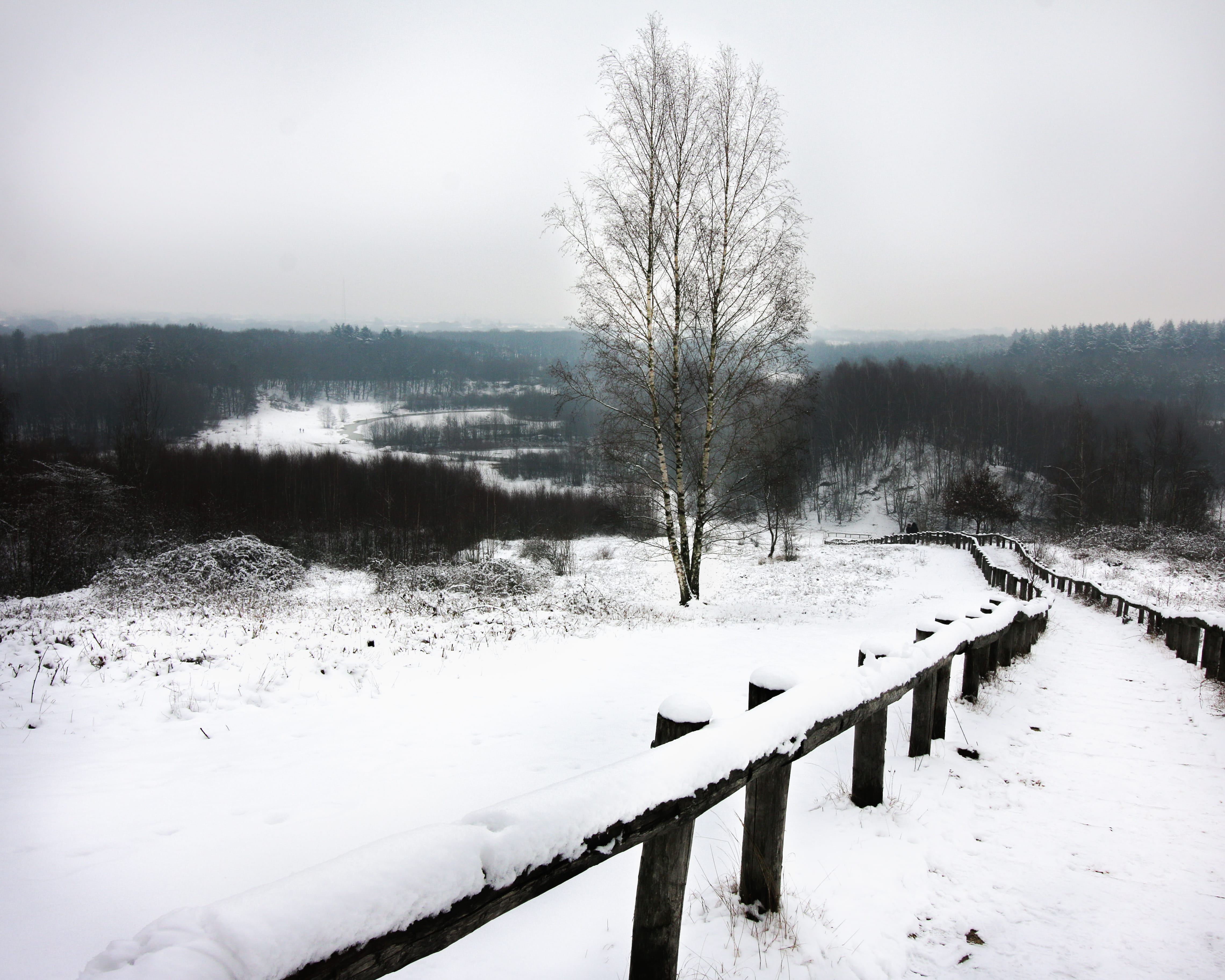 day, banister, beauty in nature, snow, scenics - nature, 4K, railing, no people, building, tree, plant, bare tree, handrail, boundary, spoke, field, winter, HD Wallpaper