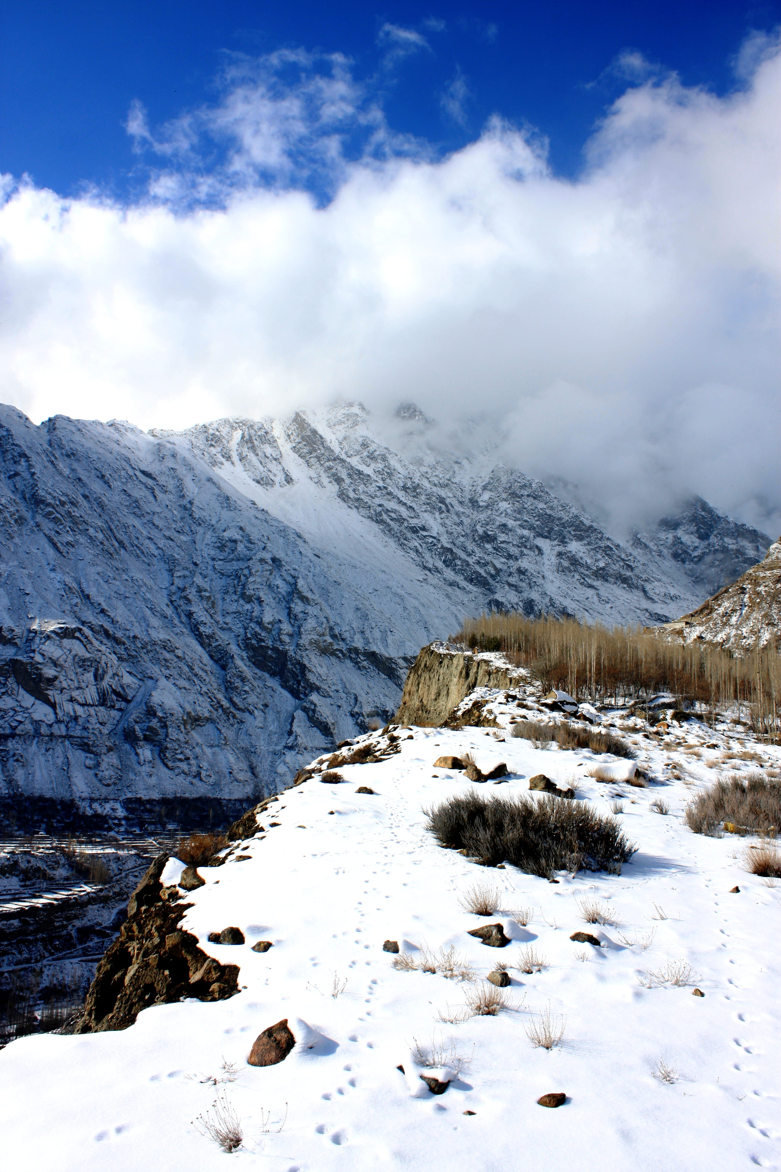 peak, tranquility, powder snow, fir, environment, hunza, mountain, no people, covering, outdoors, snow, snowcapped mountain, sky, tranquil scene, day, white color, Phone HD Wallpaper