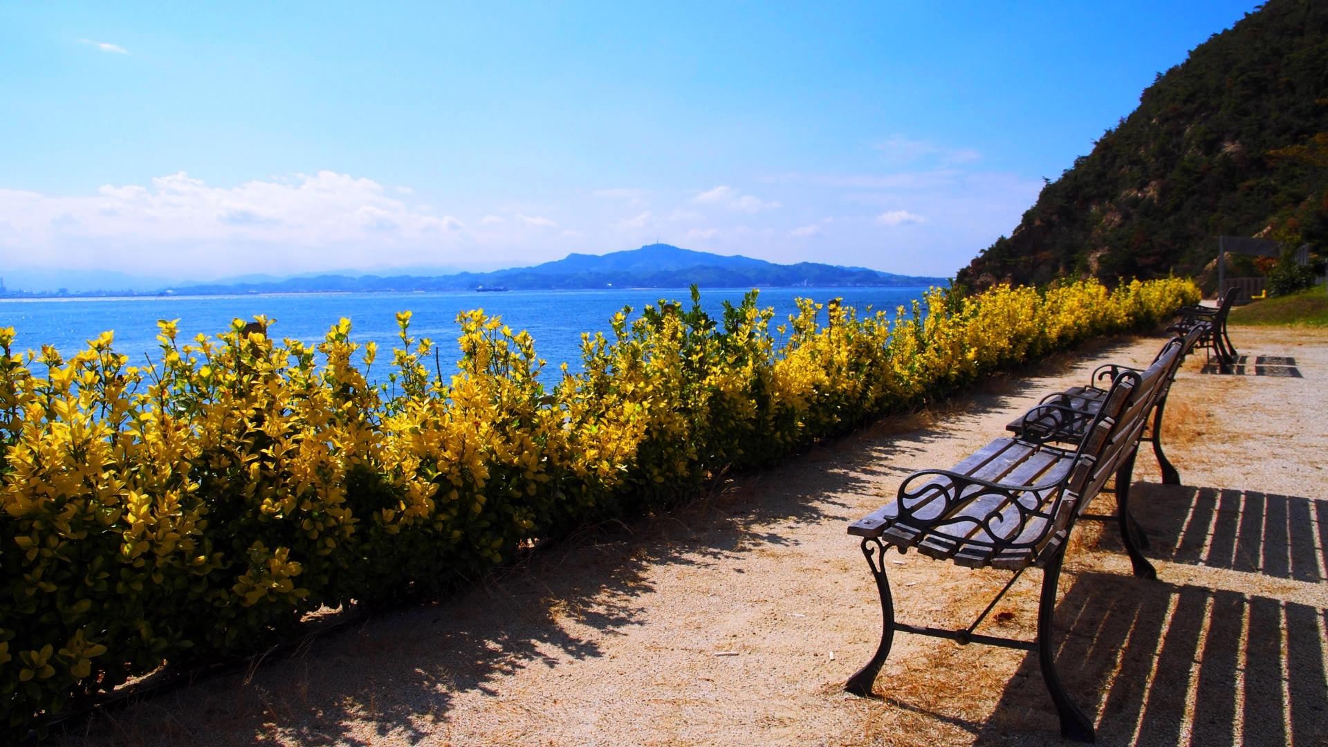 ocean, plants, view, montain, benches, 1080P, sit, 3d and abstract, HD Wallpaper