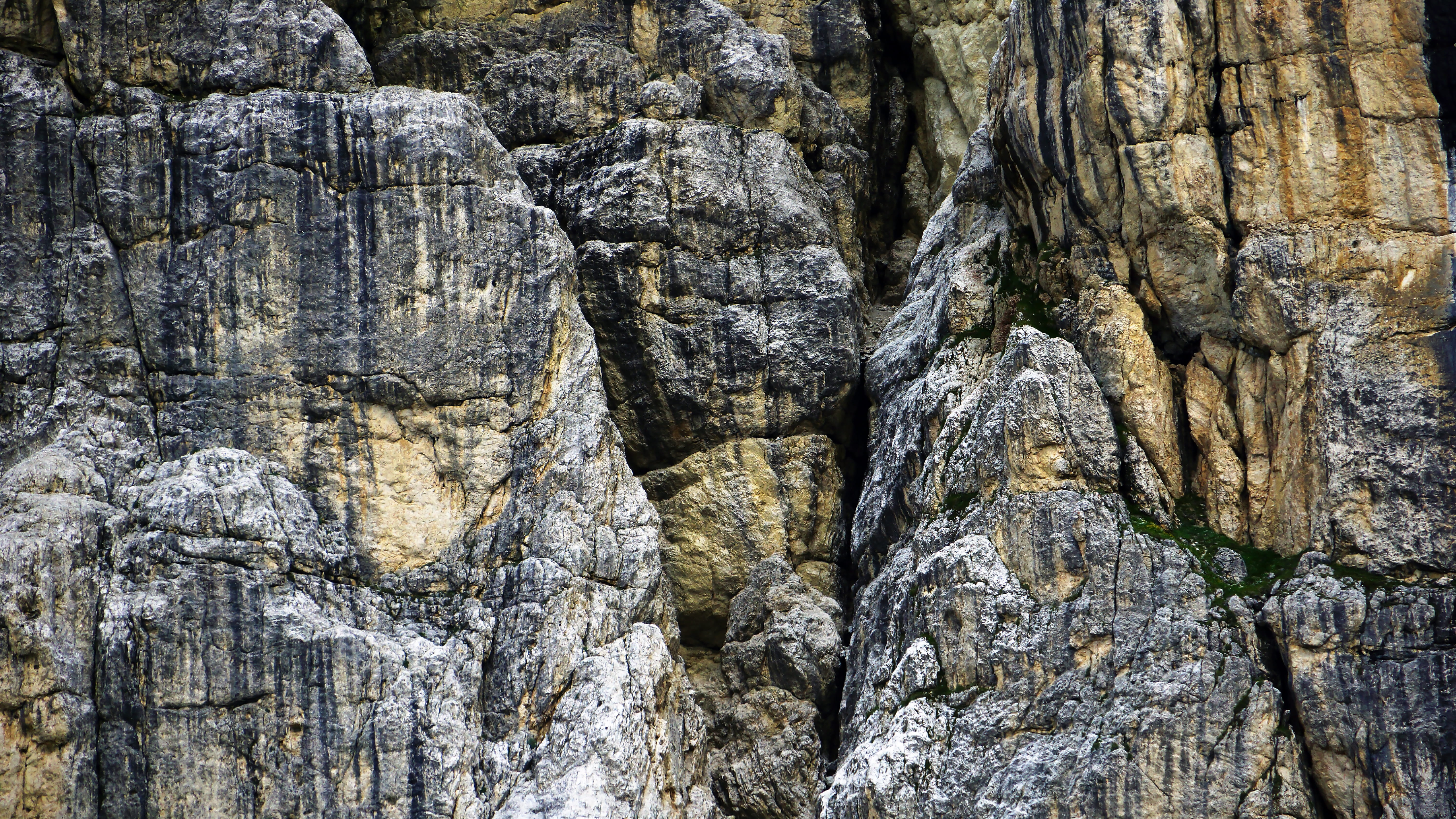 rock, texture, italy, cliff, flora, tree trunk, vegetation, rock - object, rough, birch, non-urban scene, low angle view, eroded, tree, backgrounds, close-up, HD Wallpaper