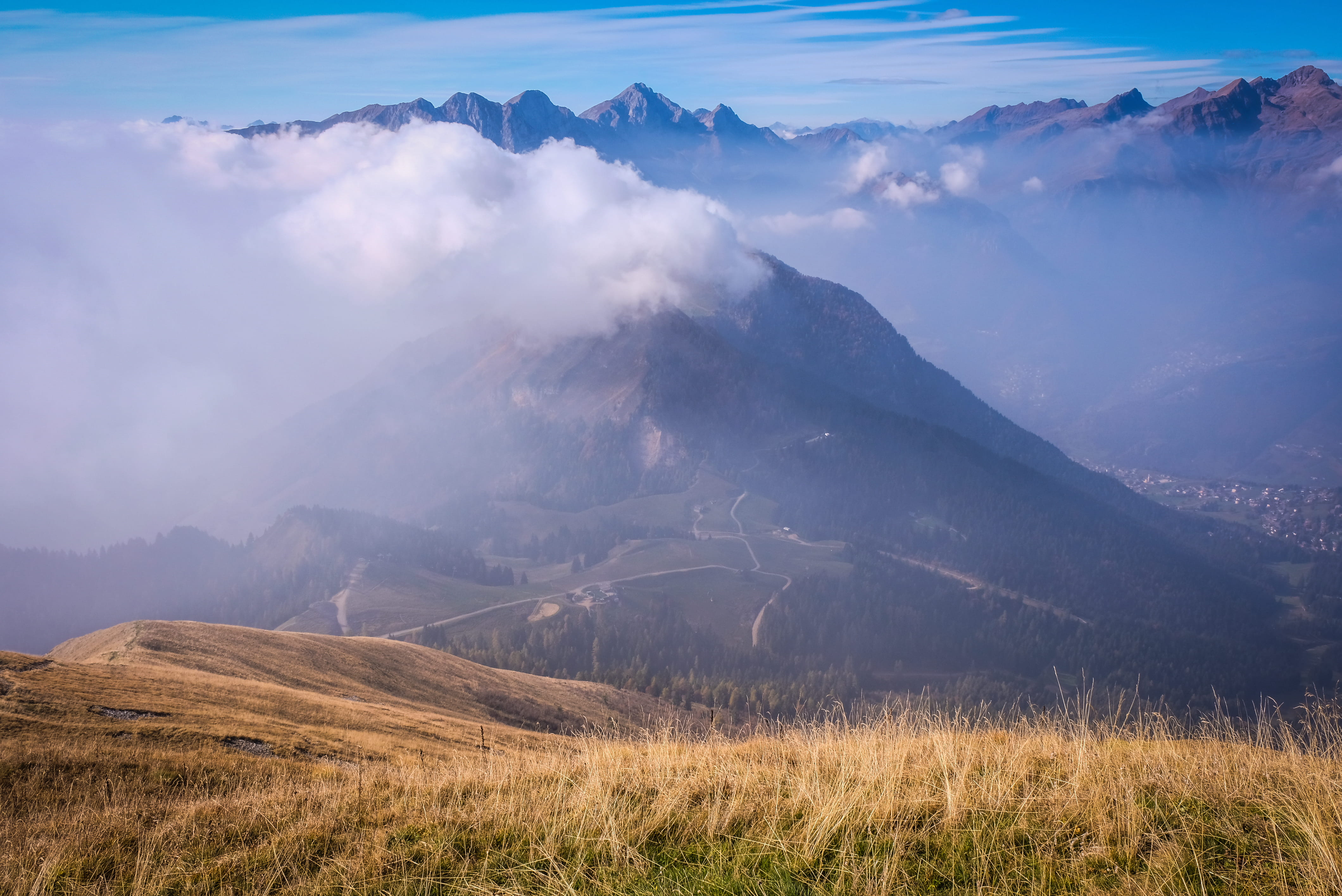 environment, italy, trees, rifugio vodala, landscape, non-urban scene, green, field, cloud - sky, scenics - nature, tranquility, tree, idyllic, tranquil scene, HD Wallpaper