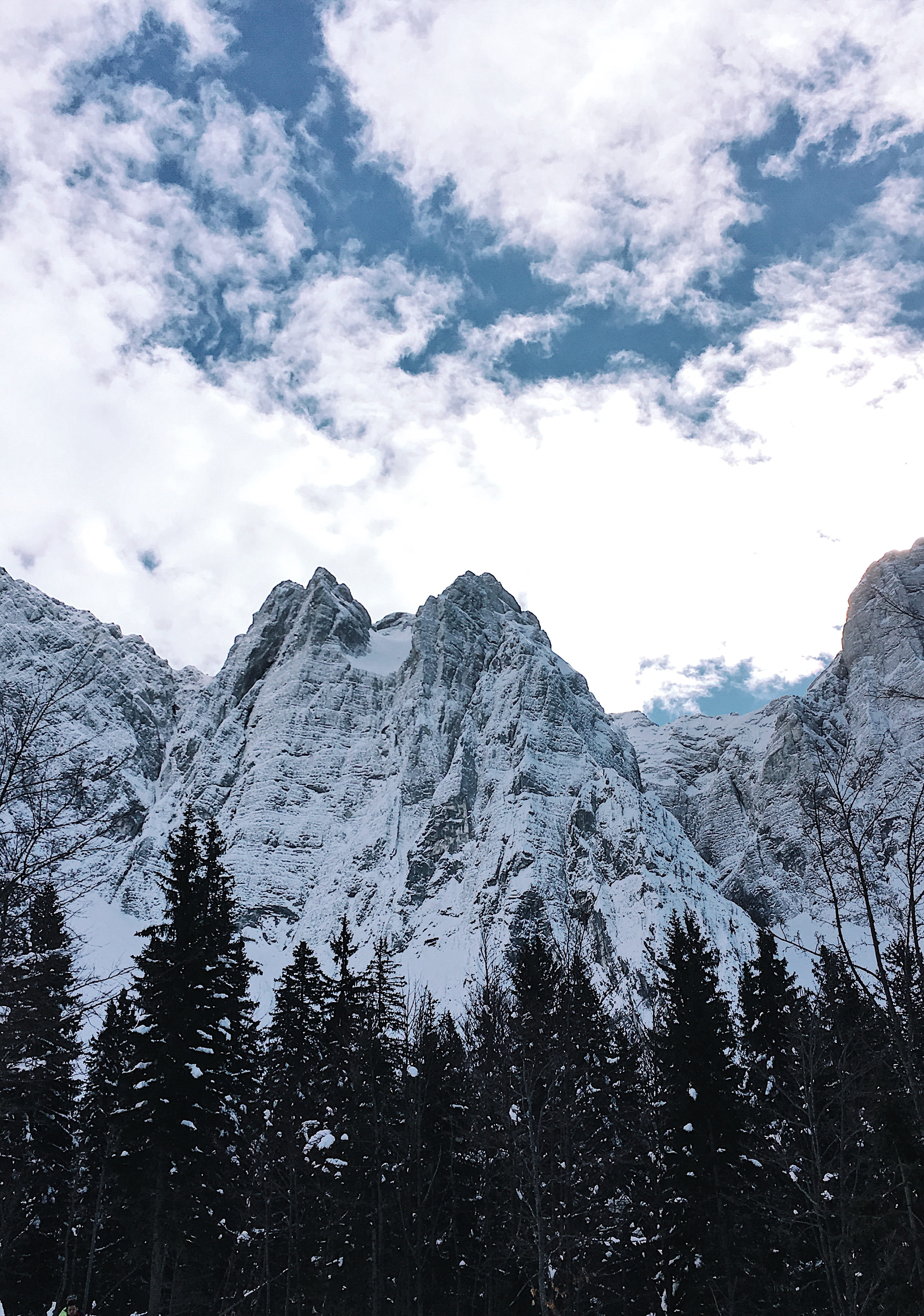 mountain, glacier, landscape, scenery, pine, tranquility, snowcapped mountain, 4K, tranquil scene, no people, scenics - nature, non-urban scene, peak, Phone HD Wallpaper