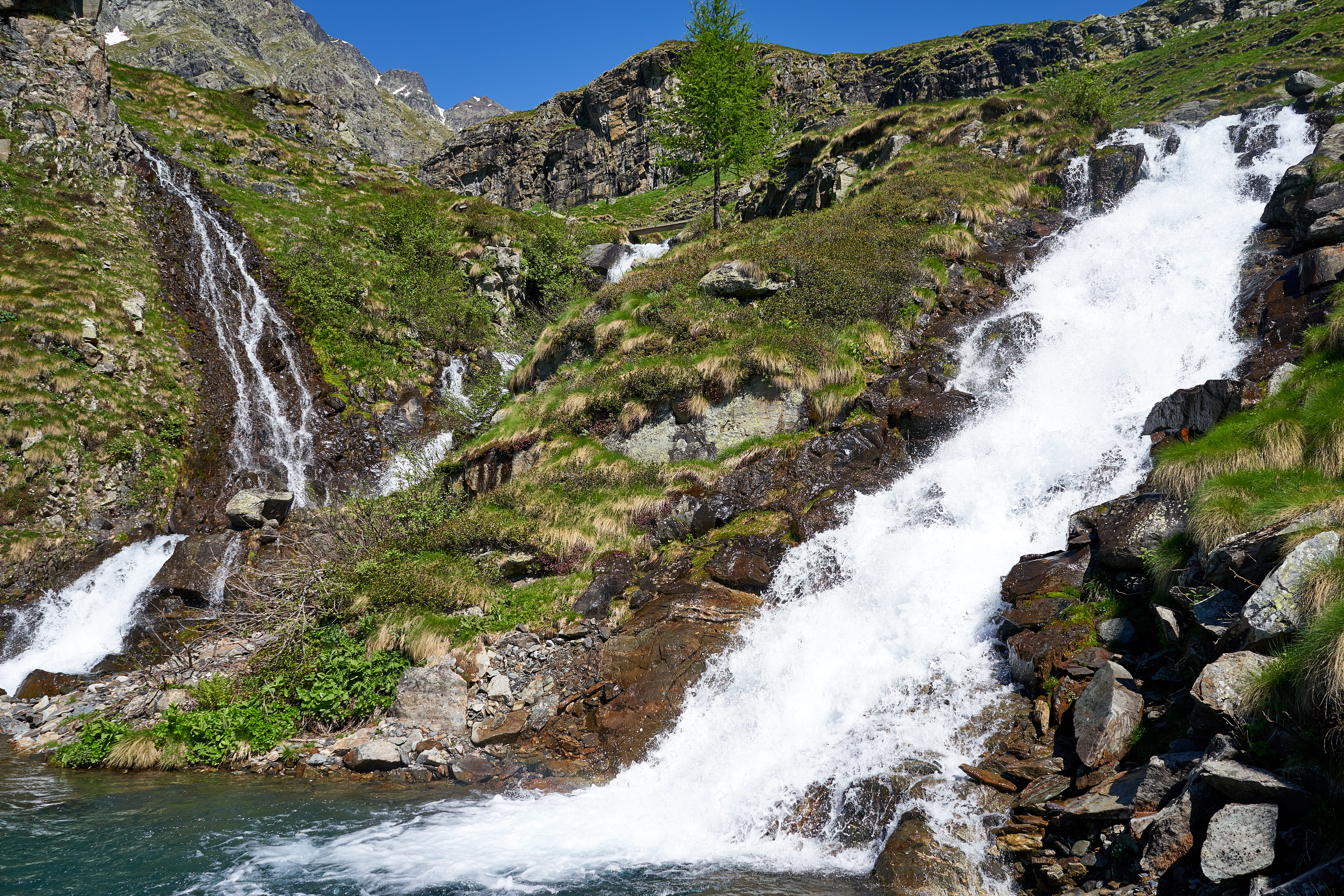 no people, beauty in nature, rock - object, flowing water, plant, outdoors, valbiondione, tree, solid, italy, stream - flowing water, rock, scenics - nature, HD Wallpaper