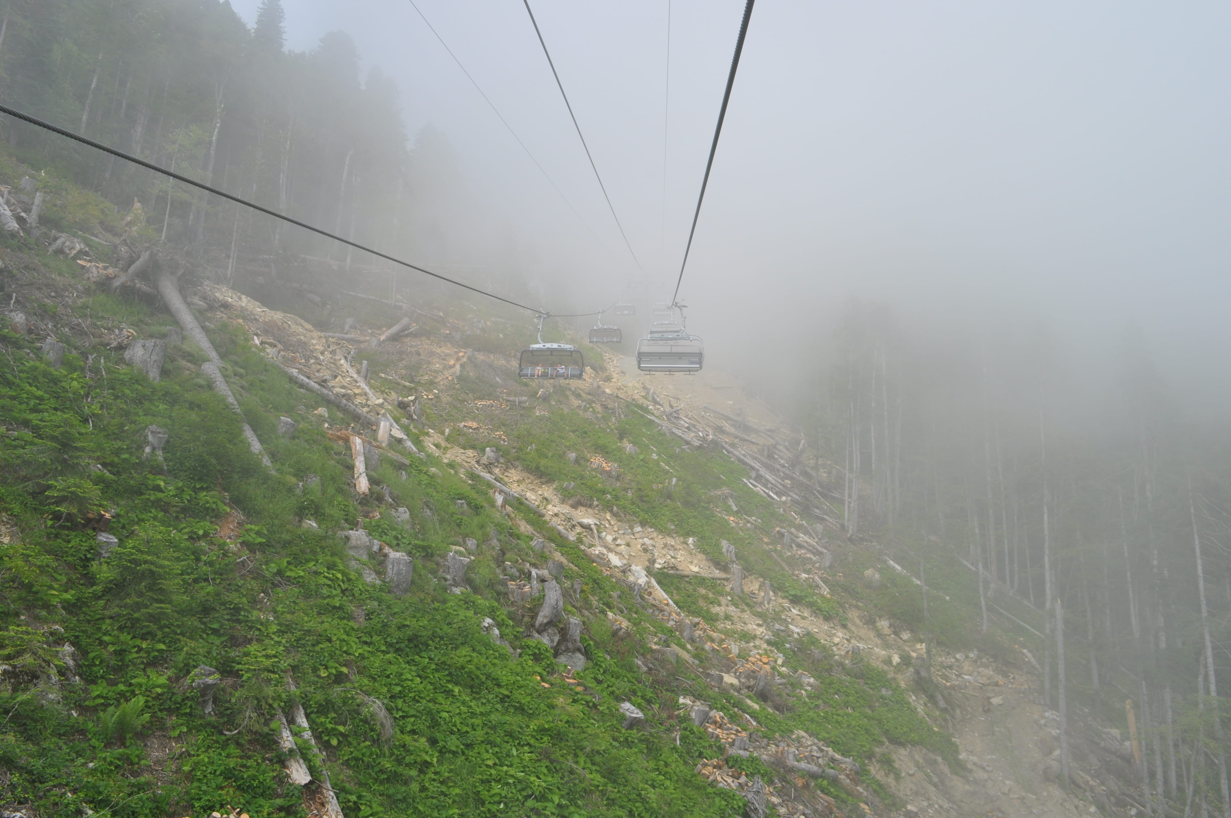 land, cable car, day, rosa khutor (krasnaya polyana) railway station, roza khutor, estosadok, electricity, plant, cable, fog, mountains, trees, green color, HD Wallpaper