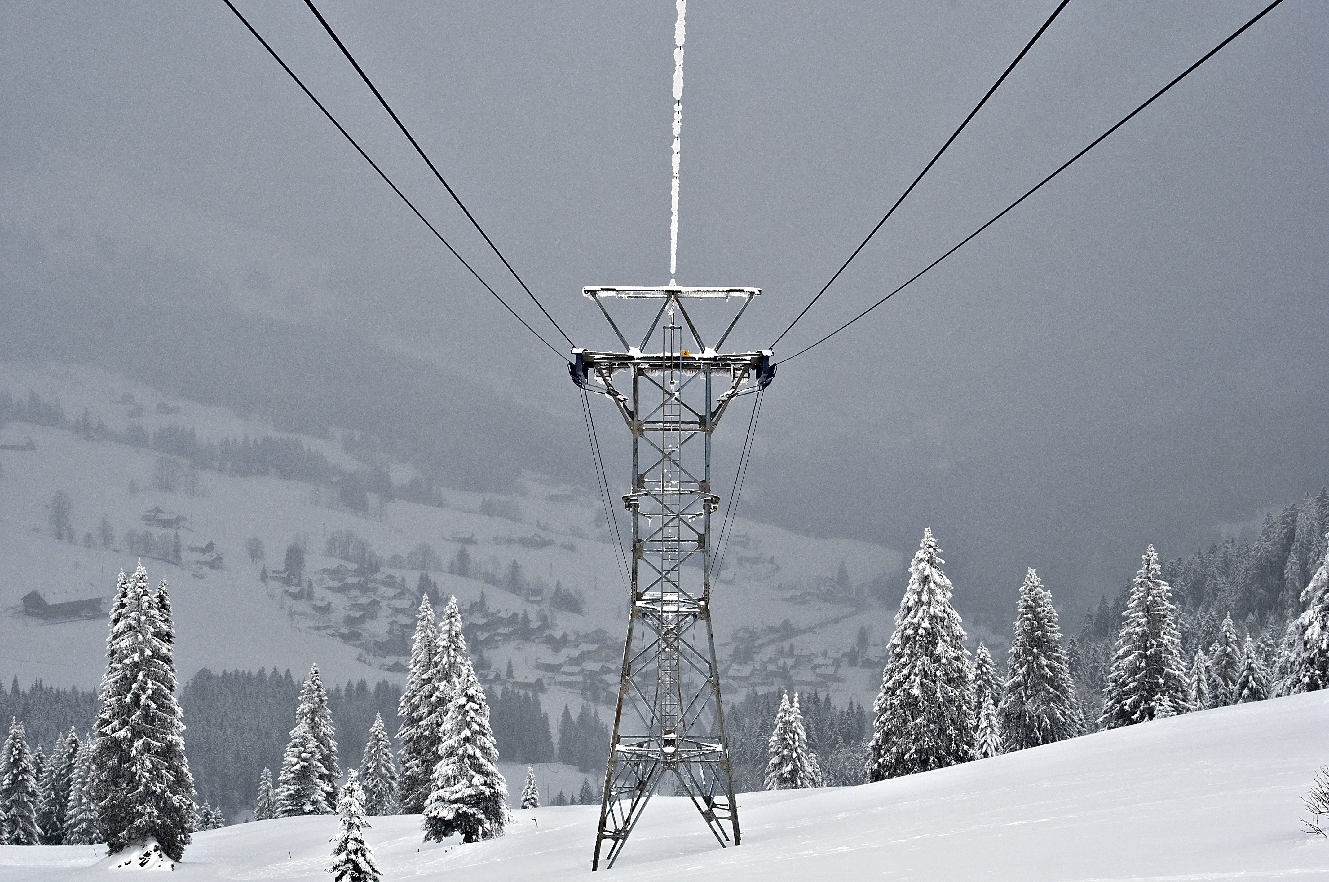 plant, wire, transport, power supply, ice, steel cable, cable car, tree, 4K, technology, beauty in nature, skiing, outdoors, frozen, grey, tranquil scene, HD Wallpaper