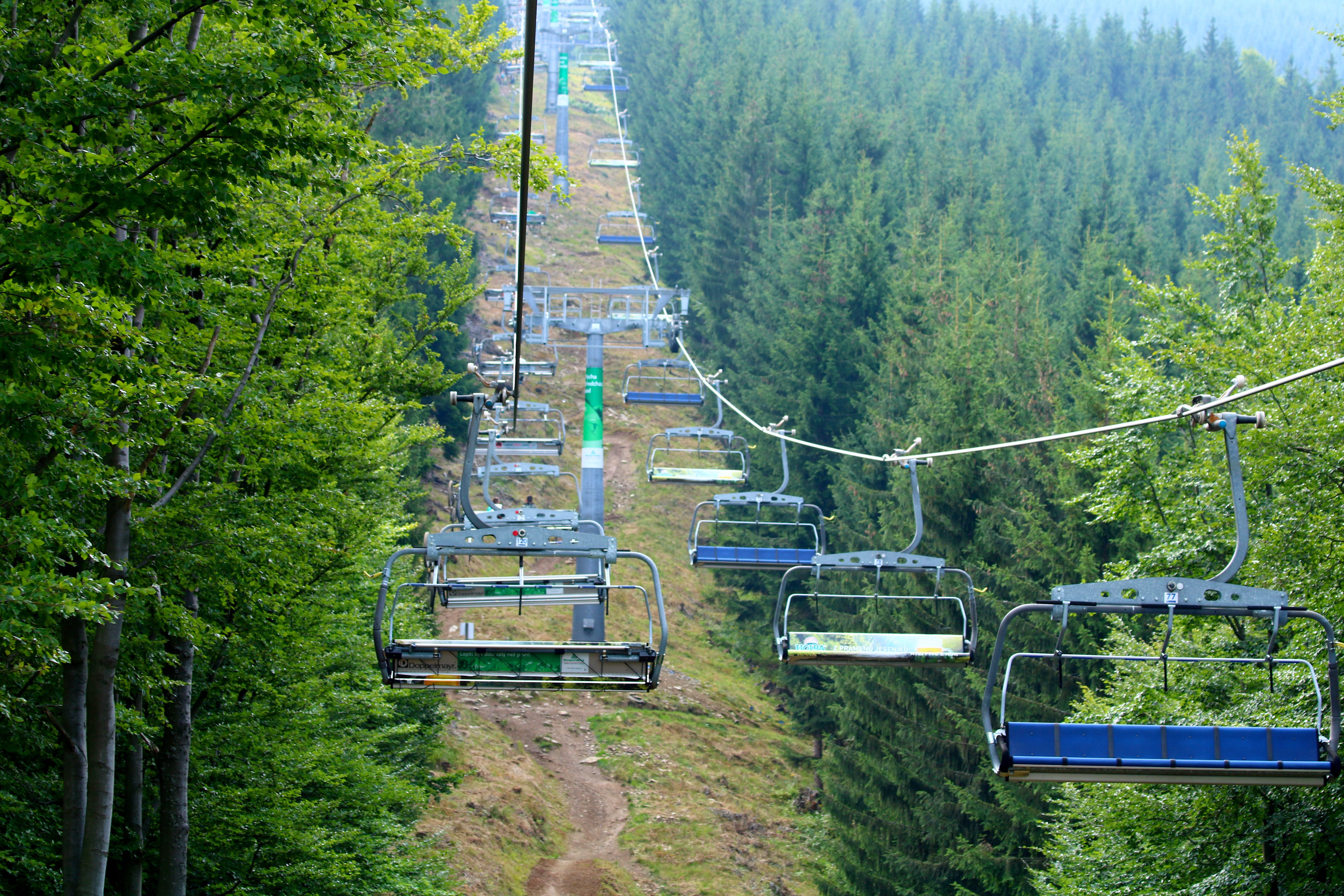 nature, mountains, beauty in nature, day, chair lift, tree, tranquil scene, scenics - nature, foliage, forest, 5K, transportation, summer, growth, high angle view, HD Wallpaper